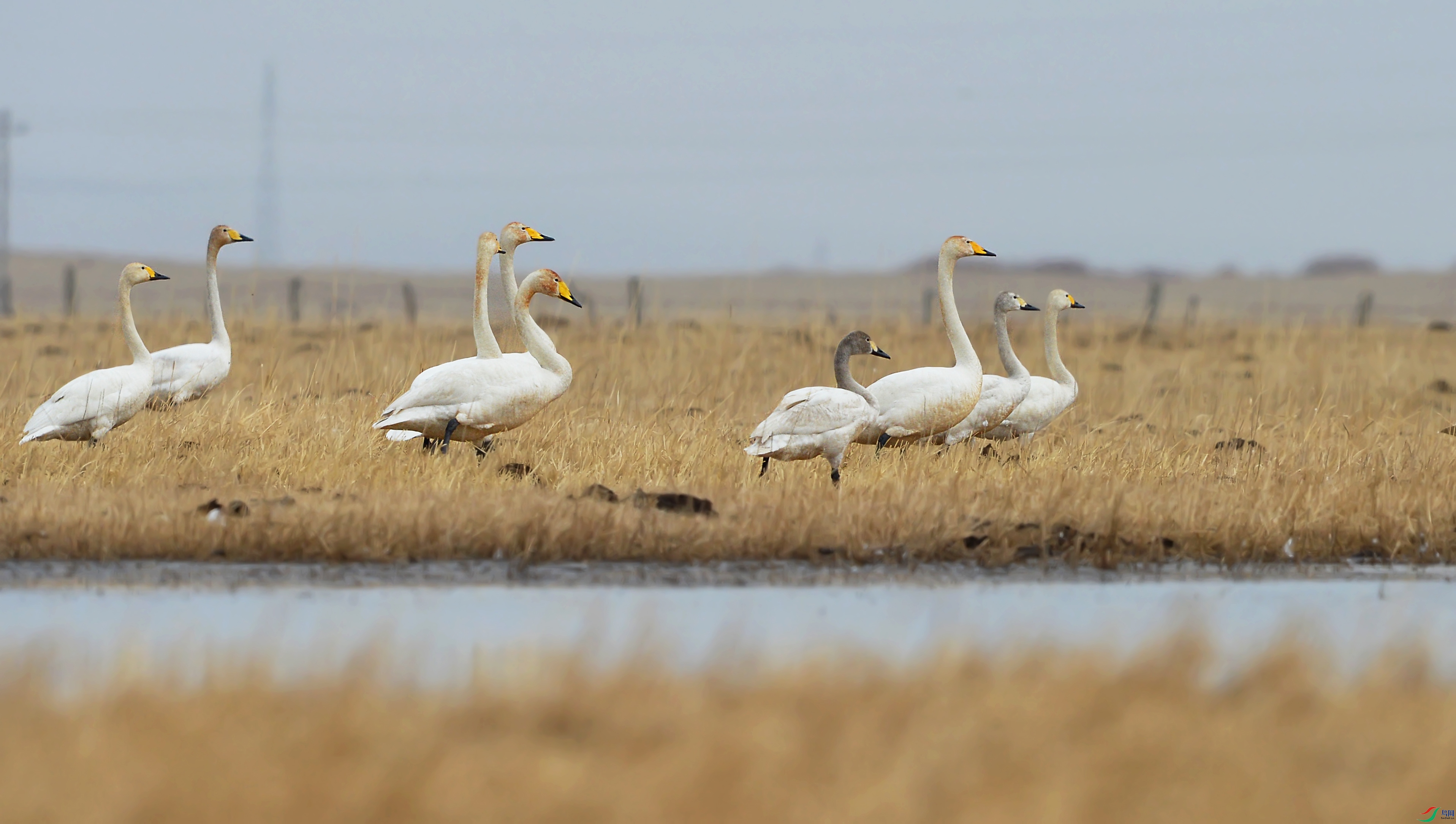 DSC_3669.jpg