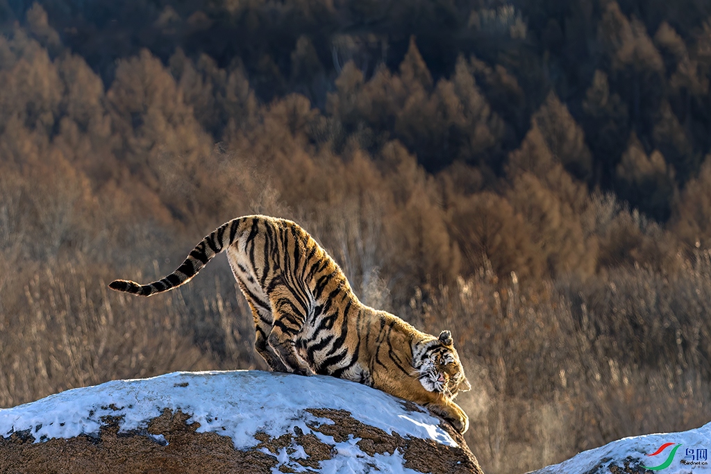 hljhlR231214 (839)_DxO.jpg