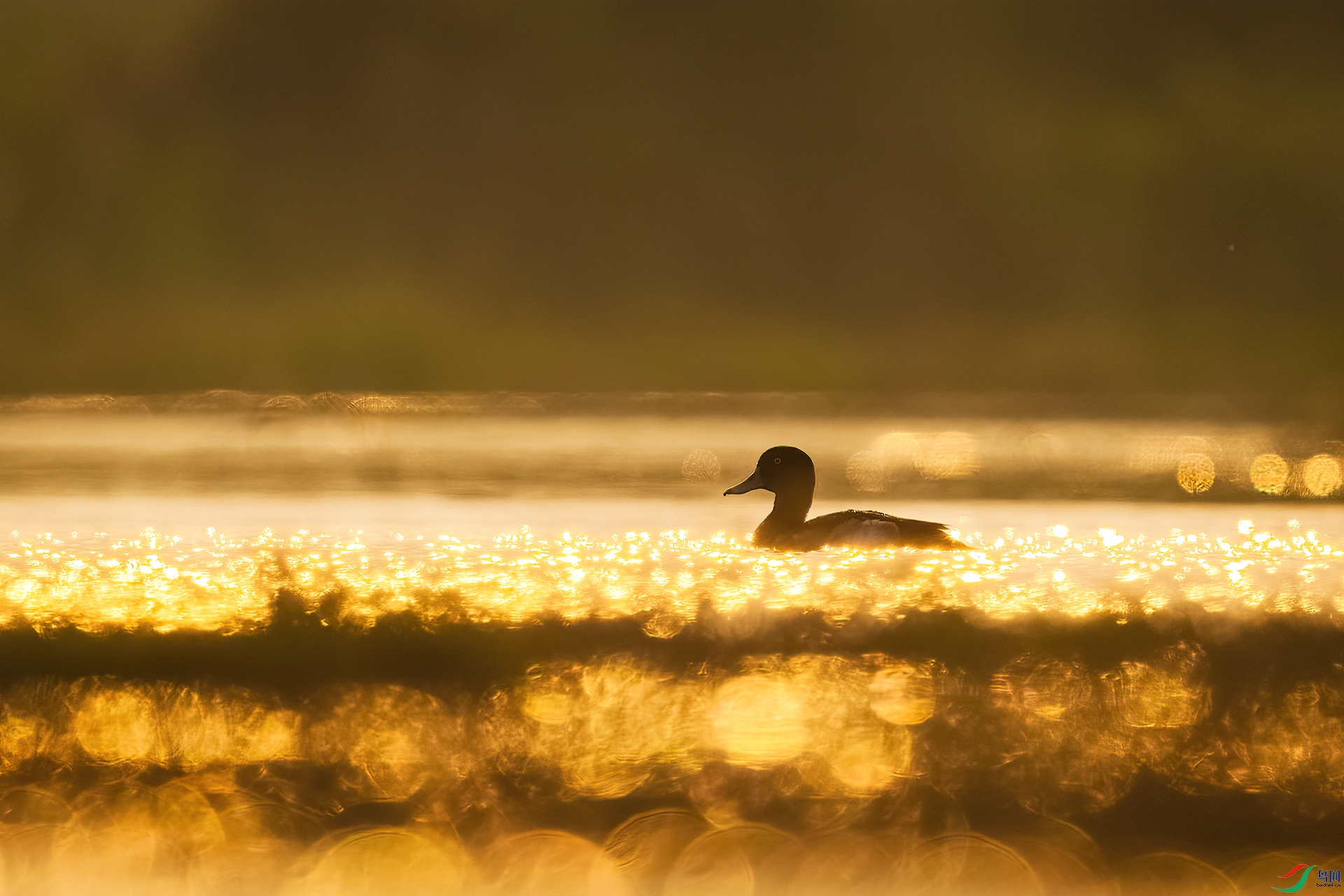 A75A2829-�༭ ����.jpg