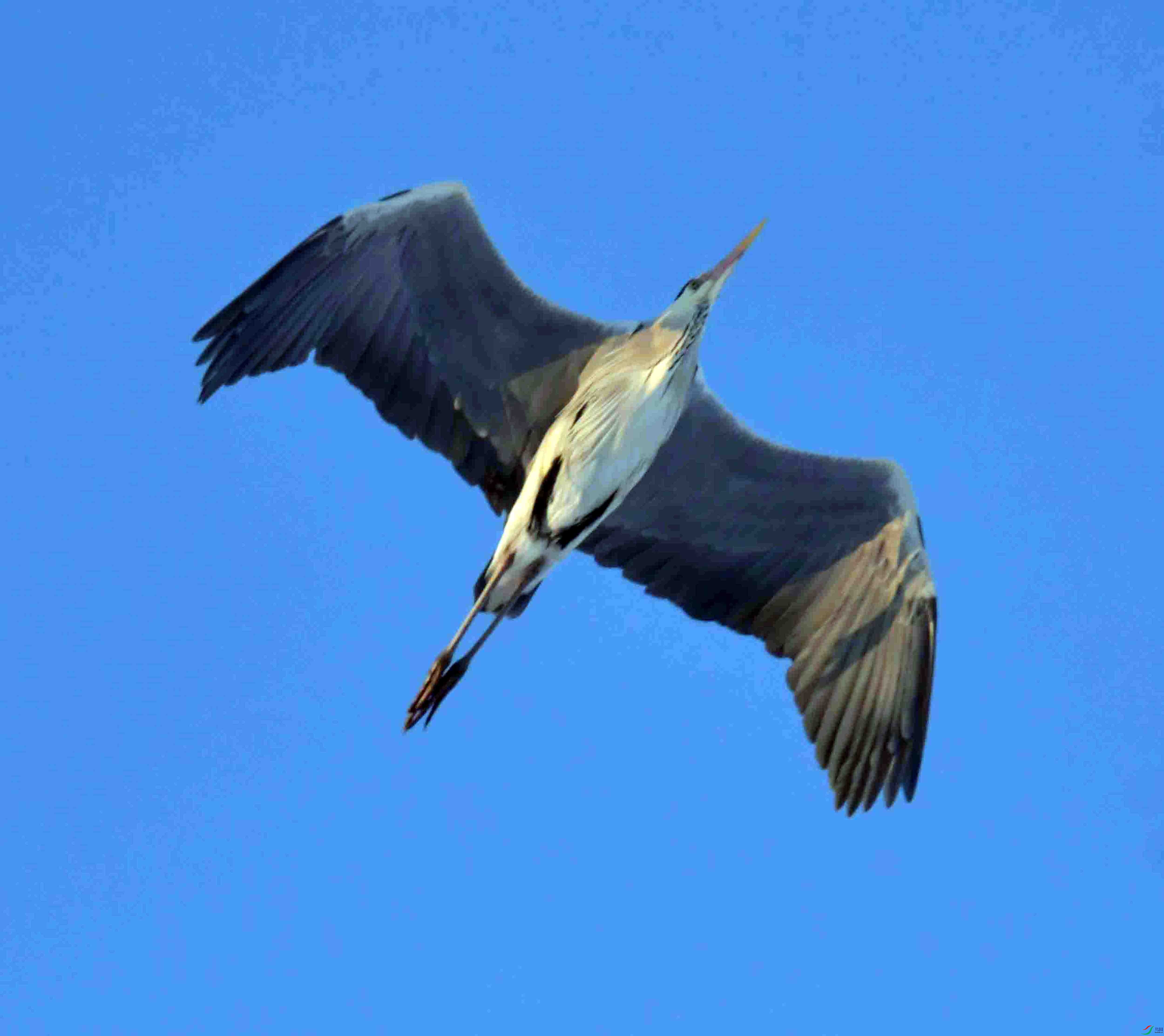 DSC_1752.JPG