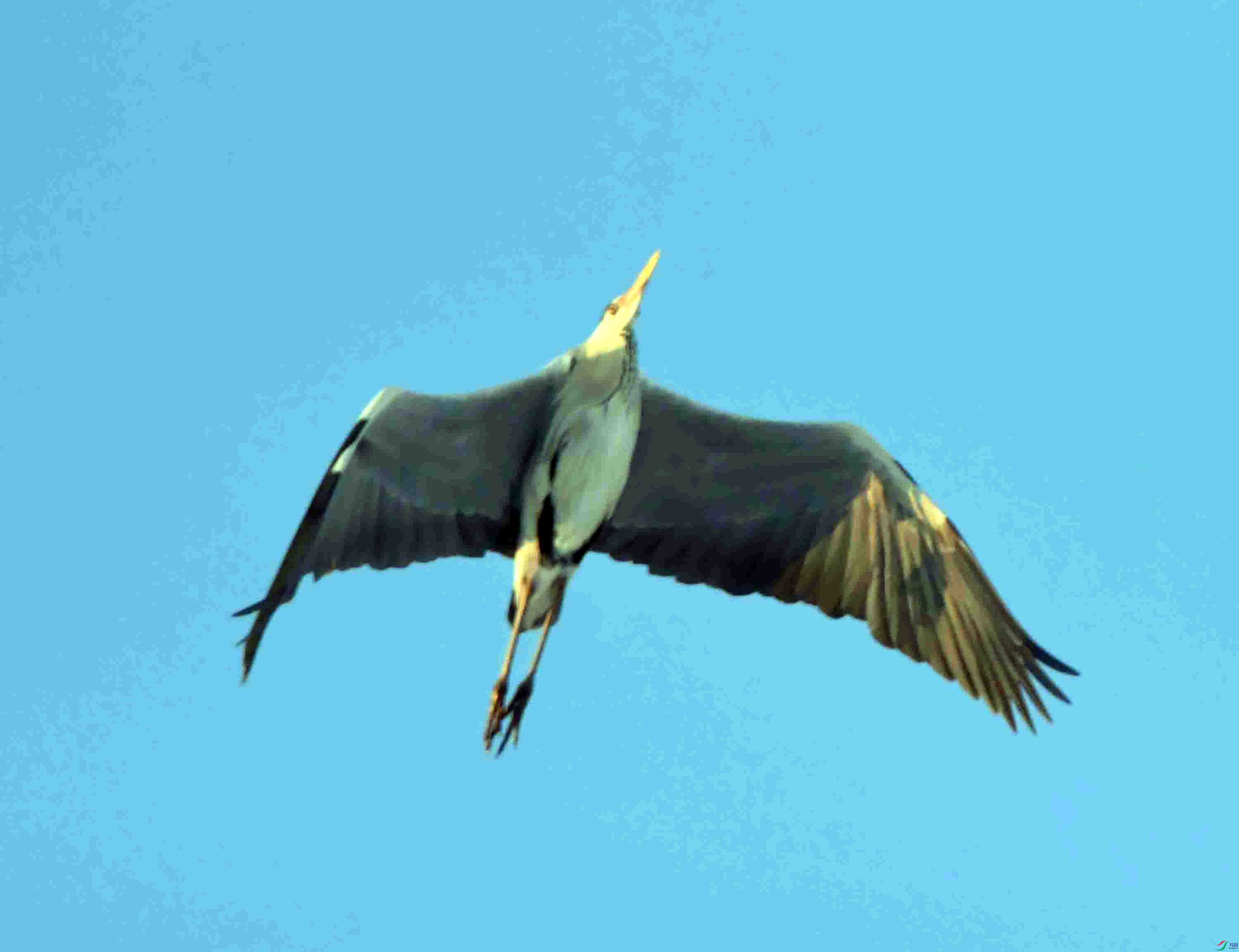 DSC_1749.JPG