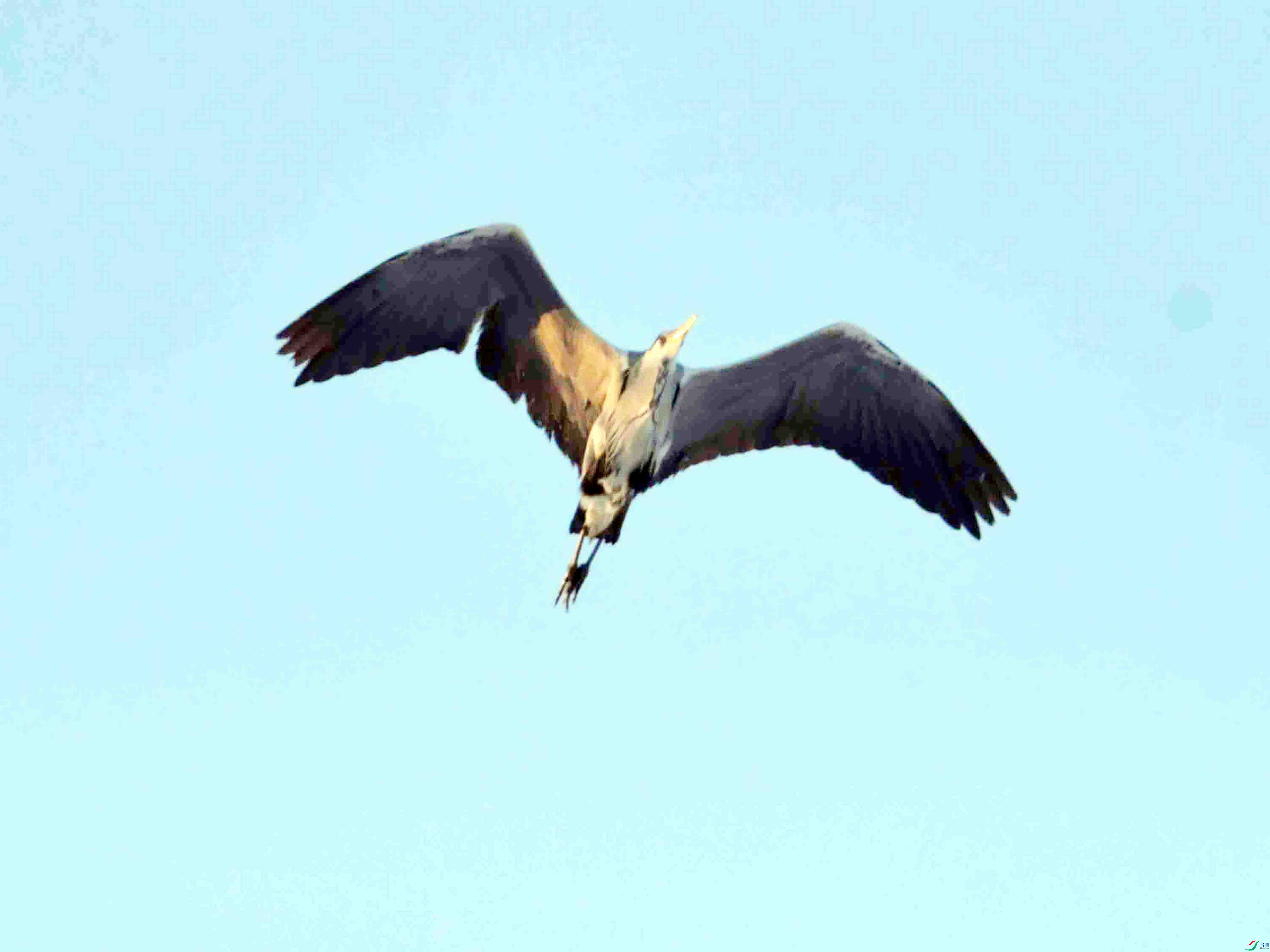 DSC_1758.JPG