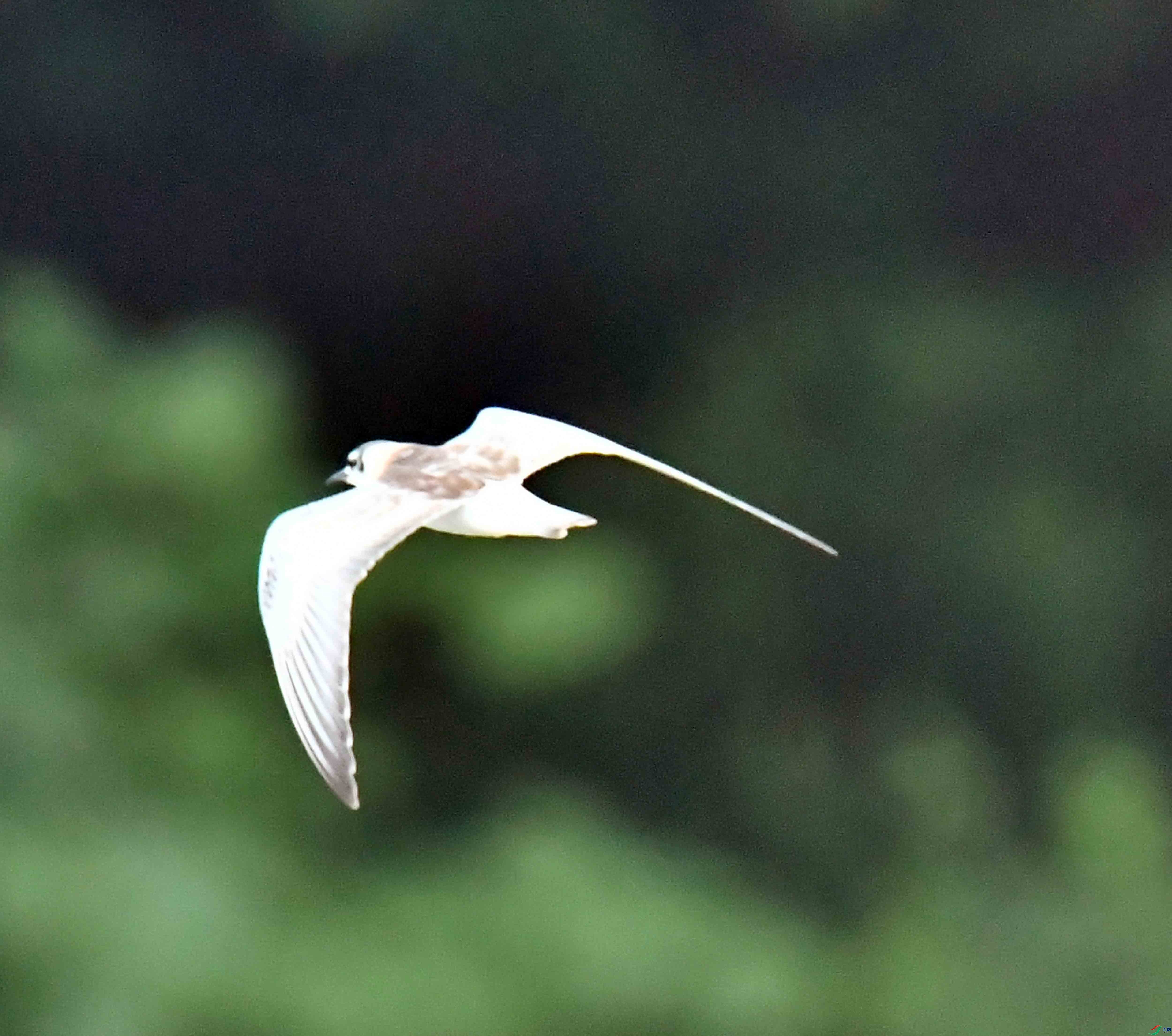 DSC_0564.JPG