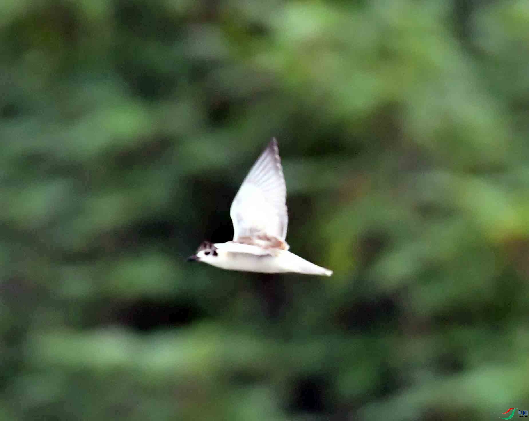 DSC_0567.JPG