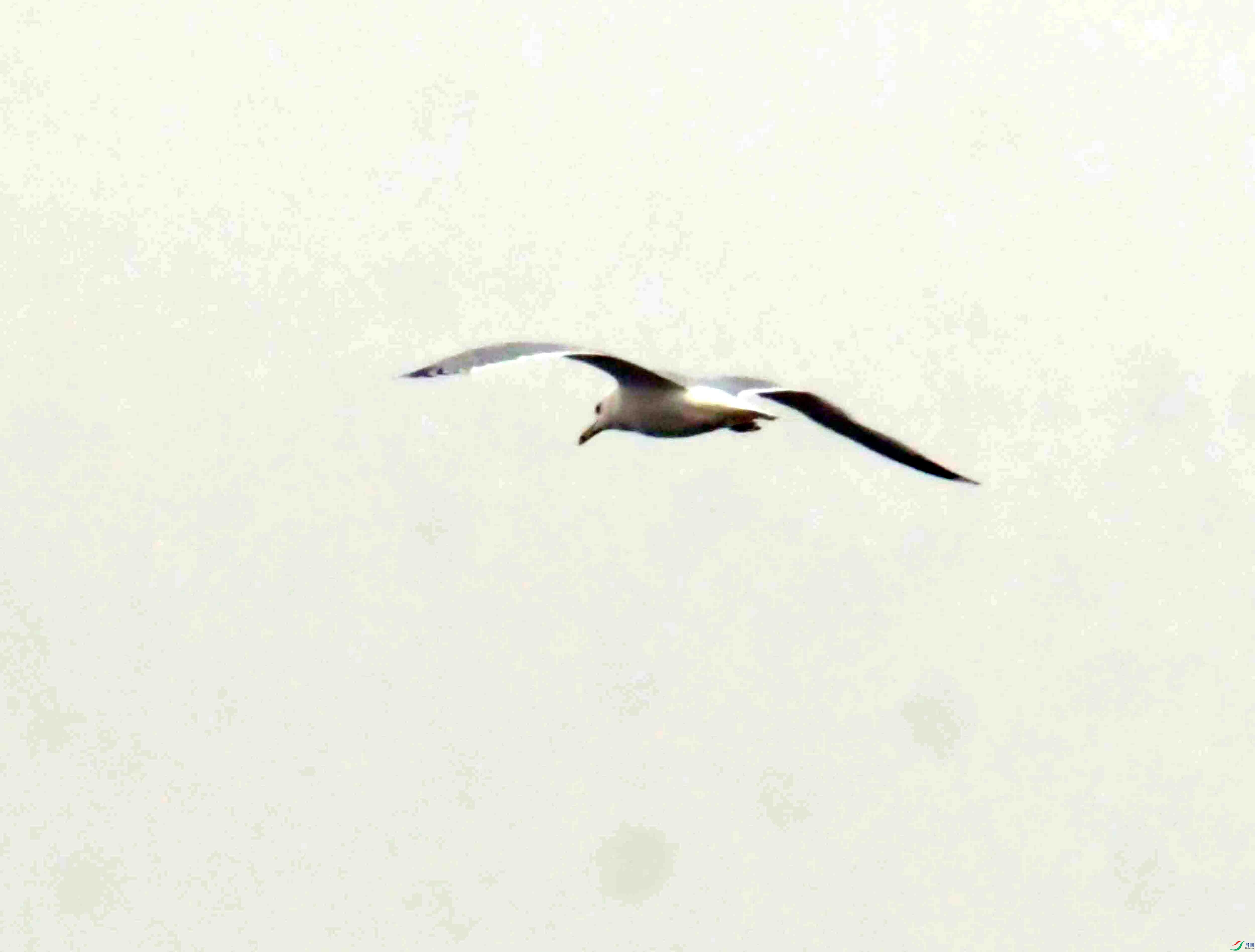 DSC_8384.JPG