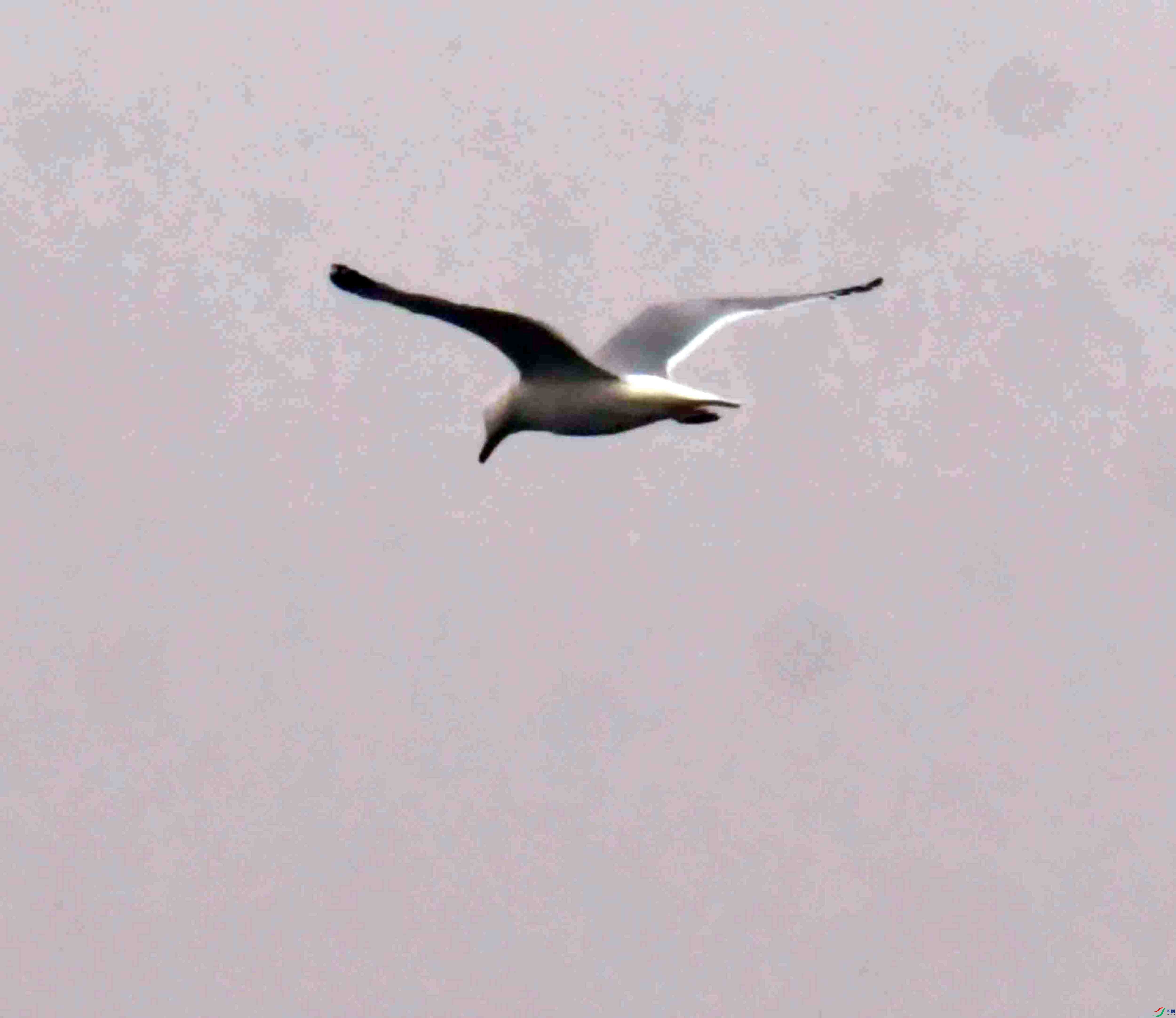 DSC_8386.JPG