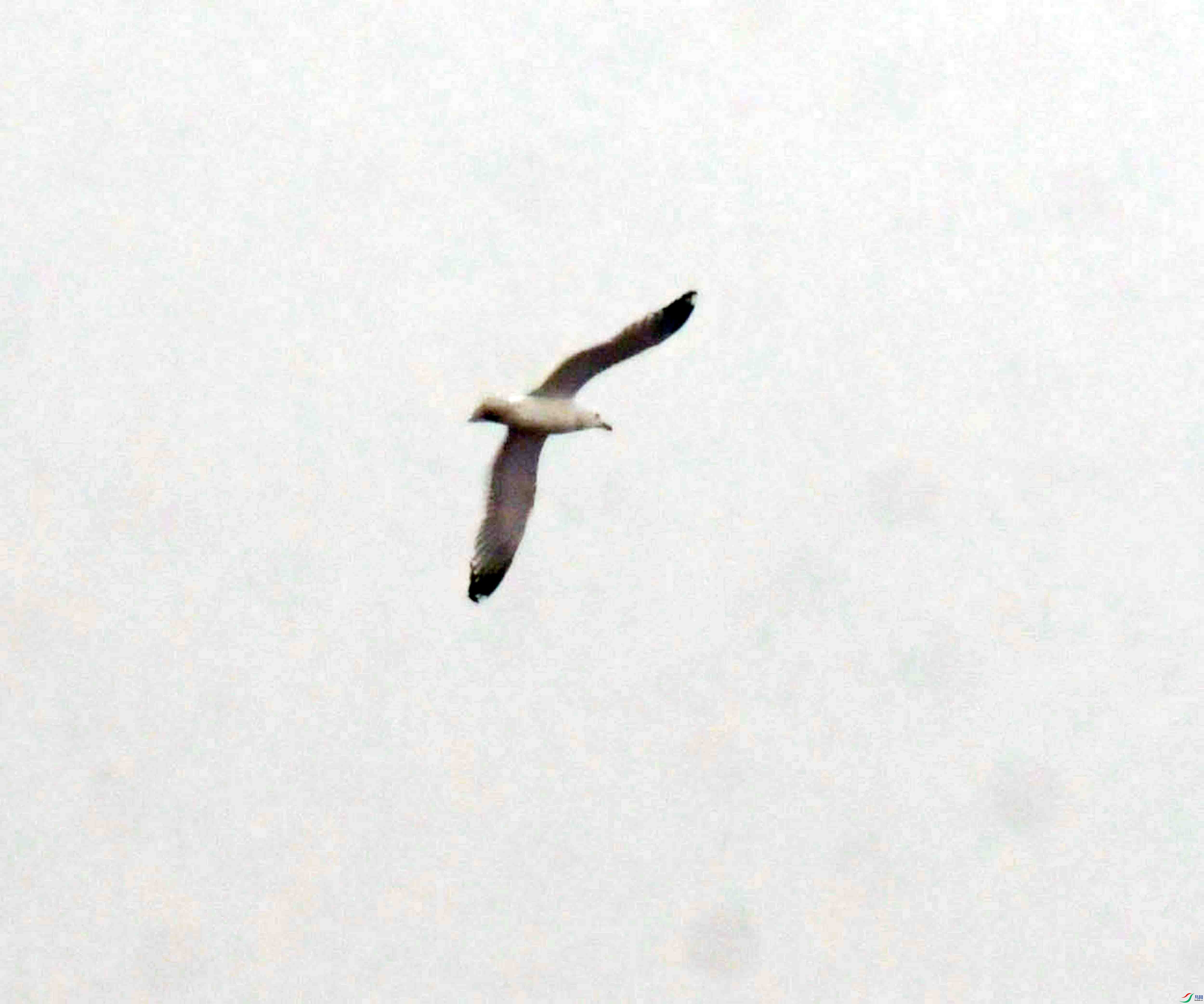 DSC_8391.JPG