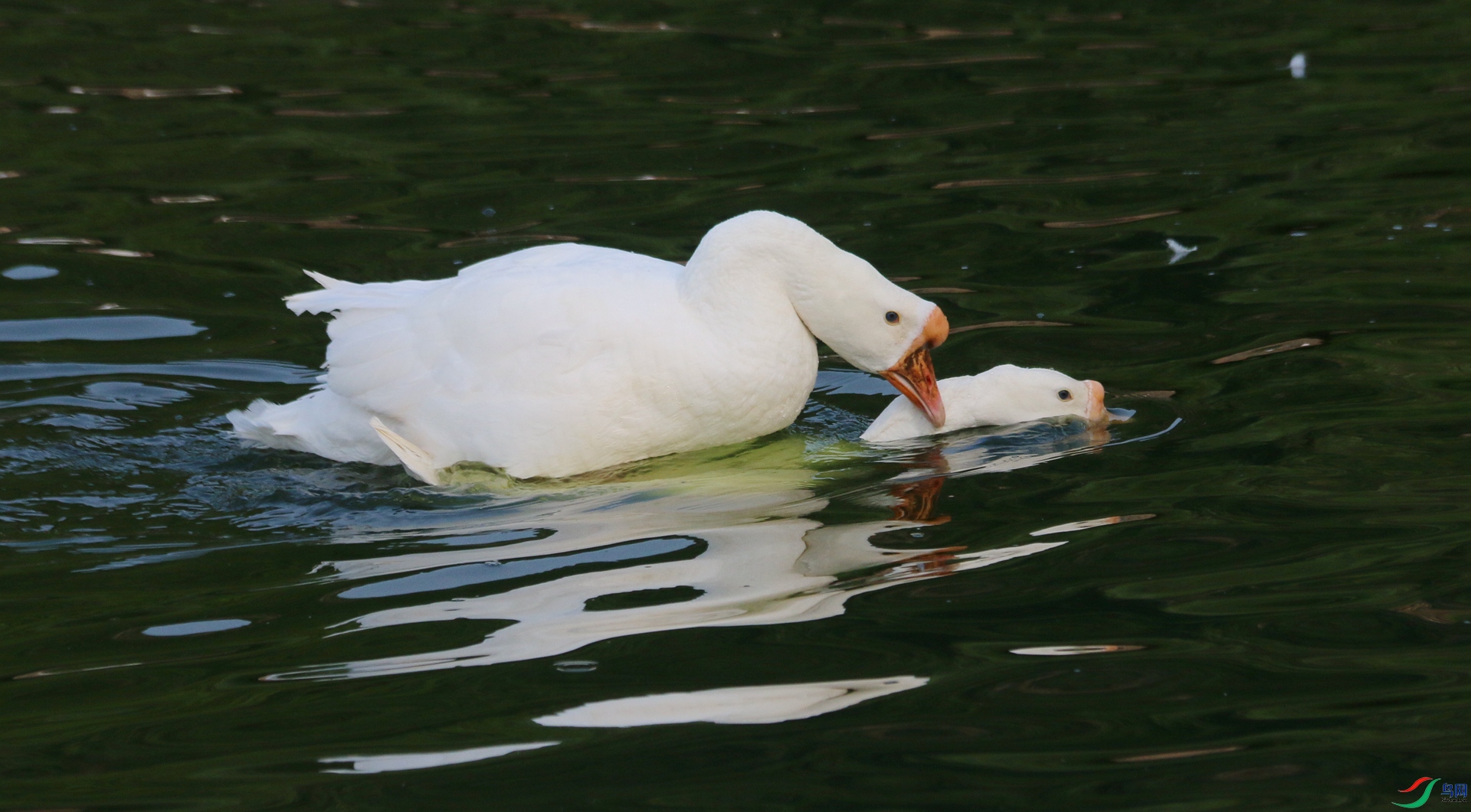 IMG_0413.JPG