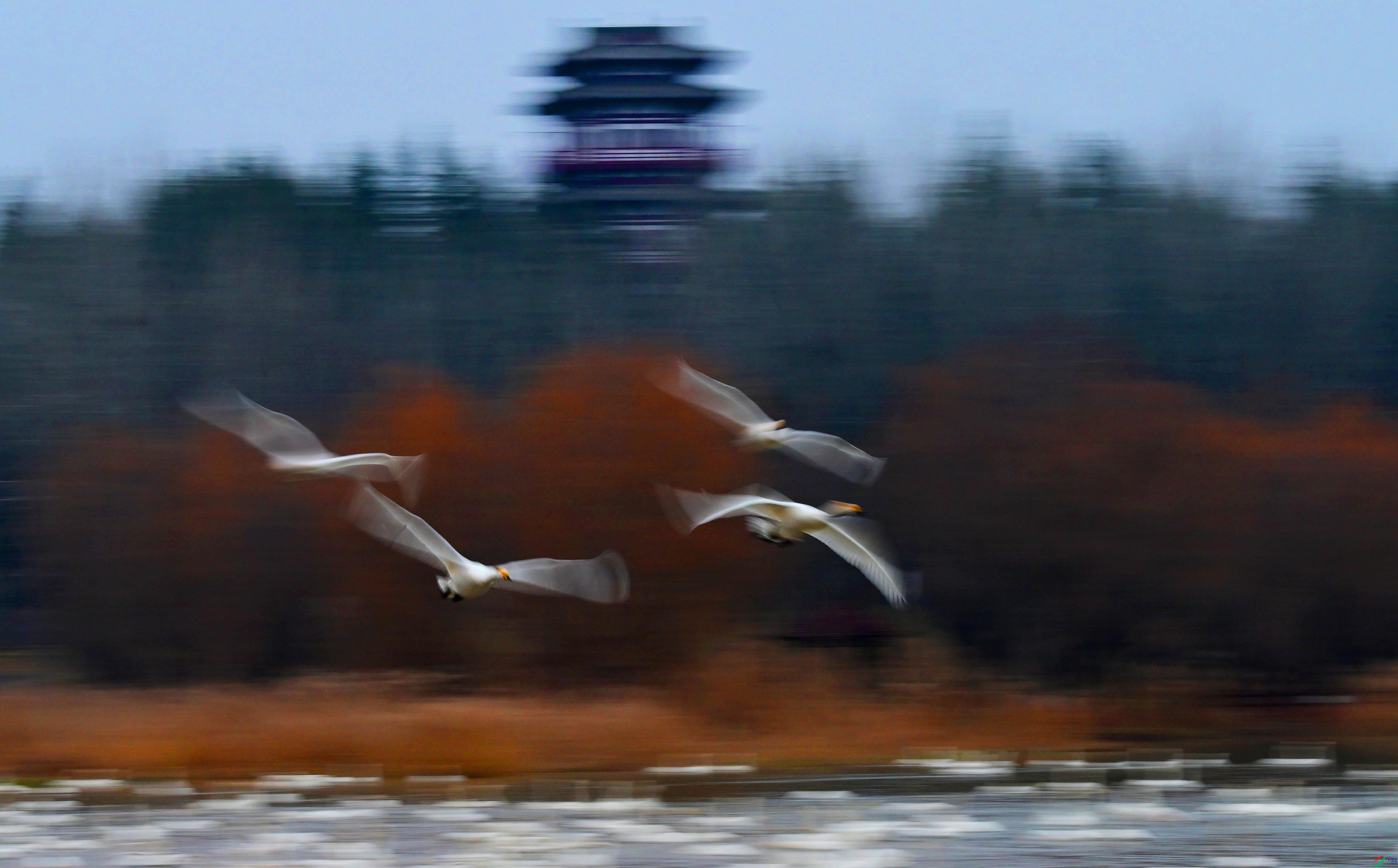 DSC_4817 ���� 2.jpg