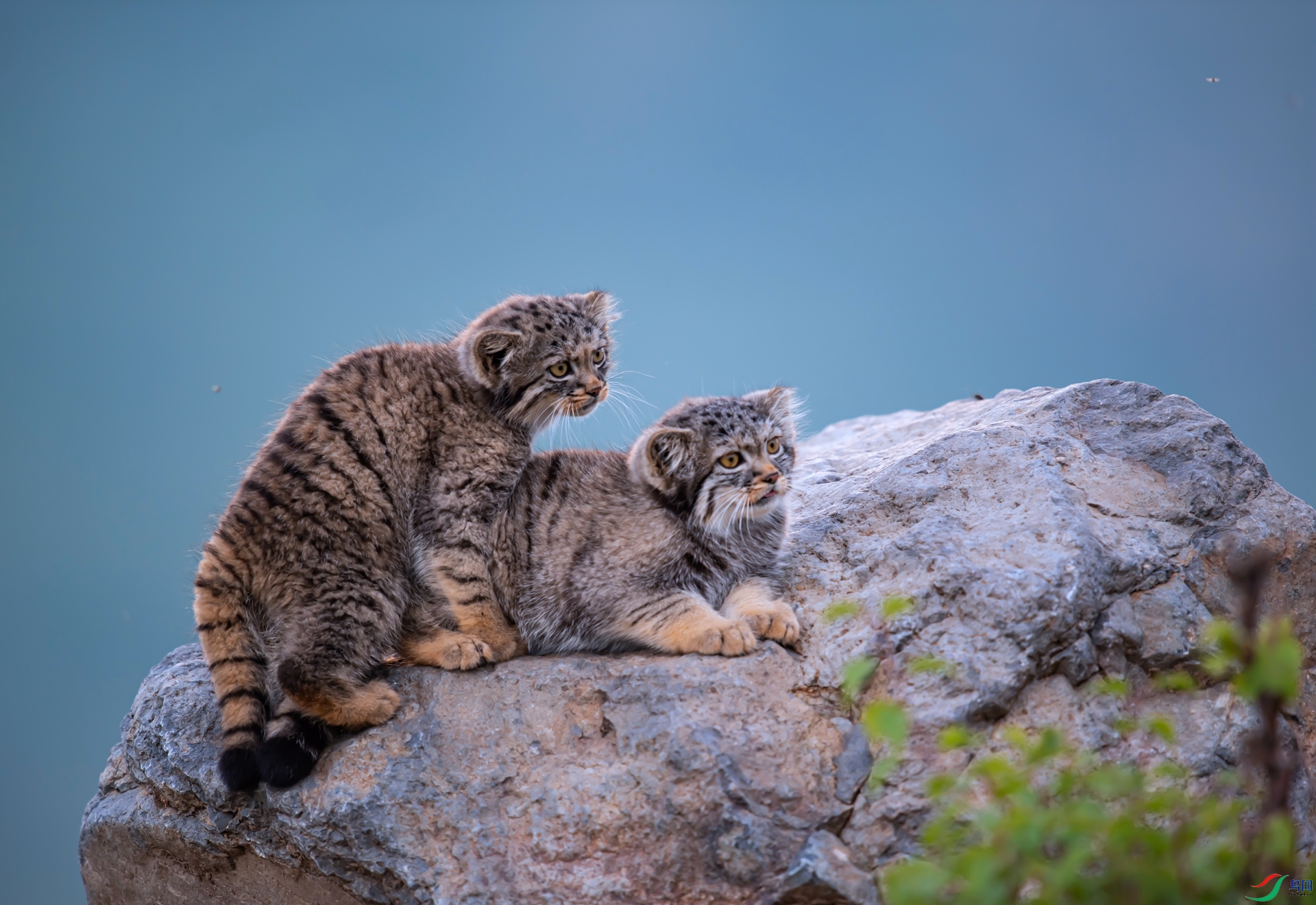 DSC_8872 ����.jpg