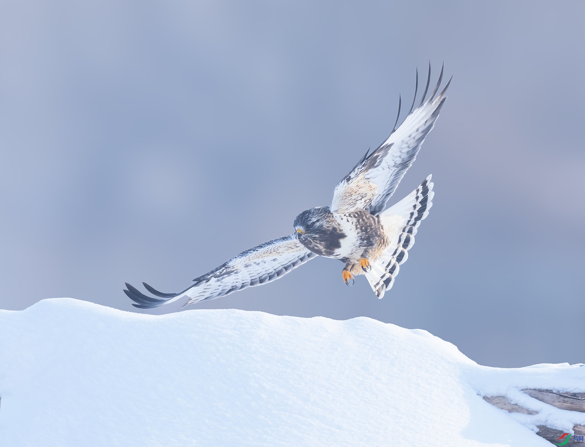 019A3092 ����.jpg