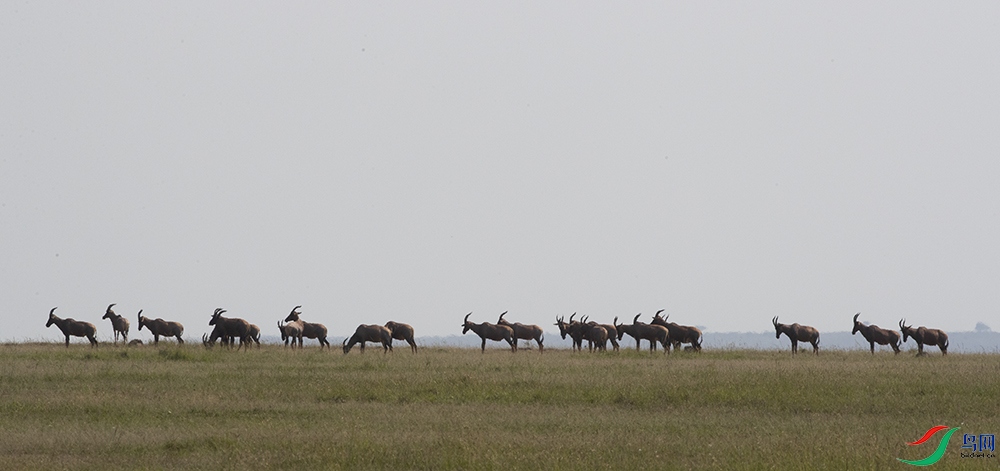 ���� (10).jpg