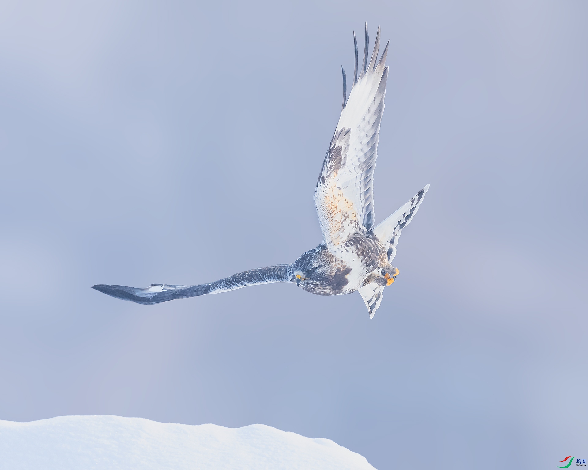 019A3090 ����.jpg