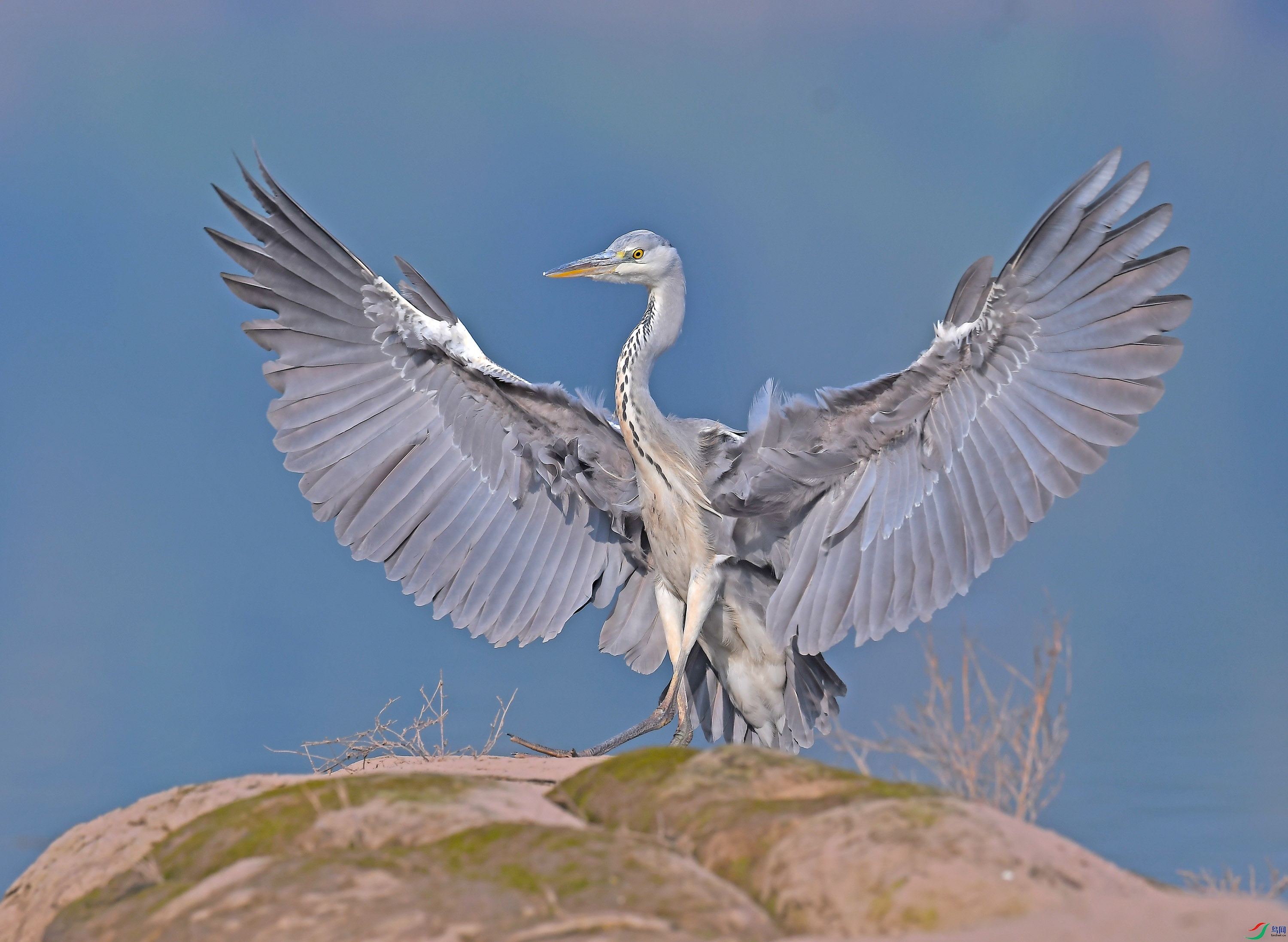 DSC_7909 - ����.JPG