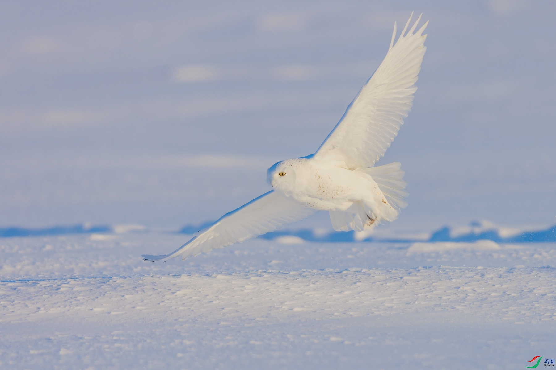 SHU_7014 ����_����.jpg