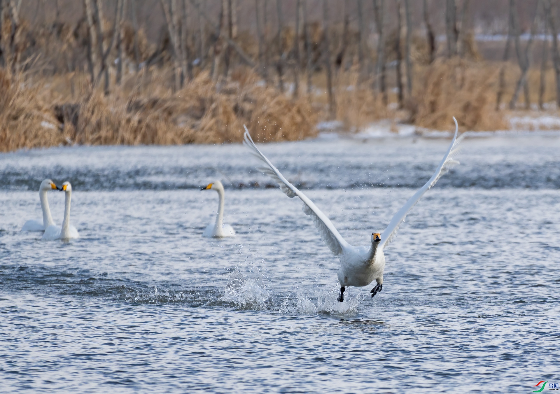 DSC02615-2.jpg