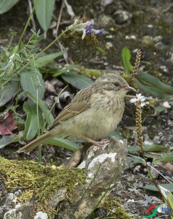 CS3U6414.jpg