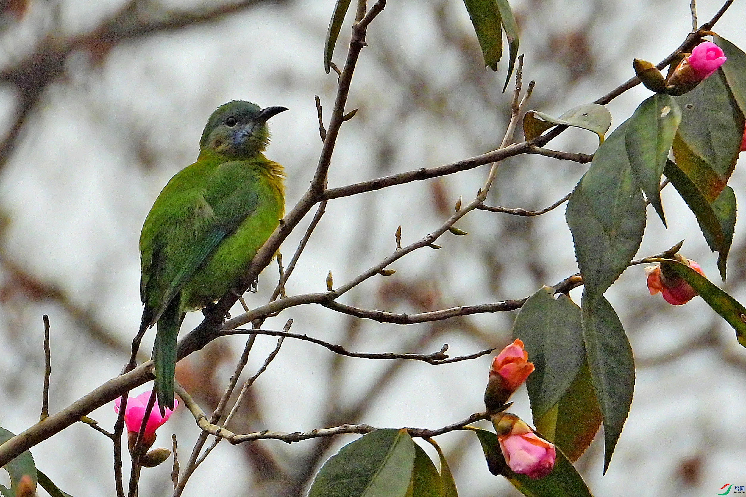DSCN1857.JPG