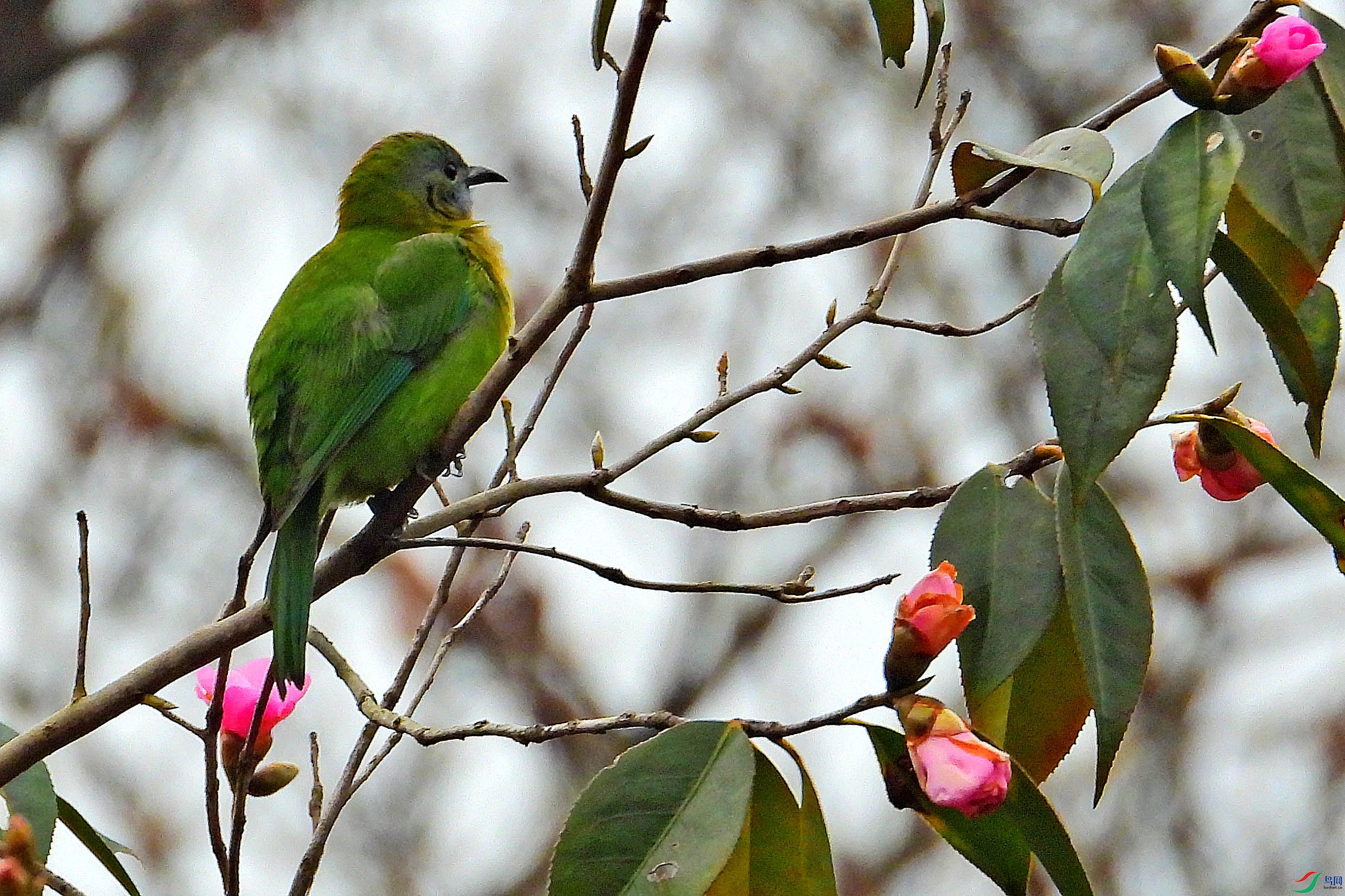 DSCN1854.JPG
