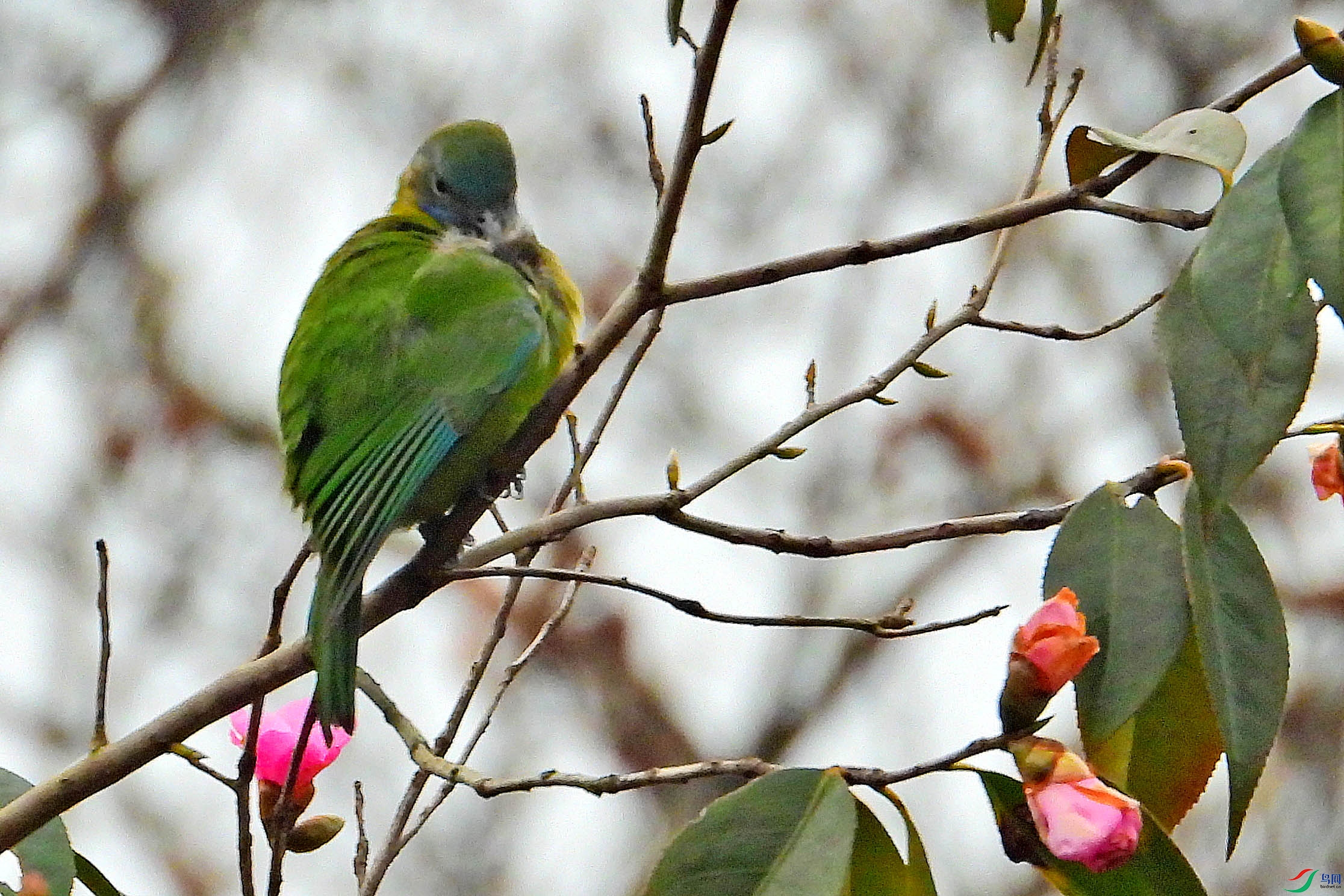 DSCN1852.JPG