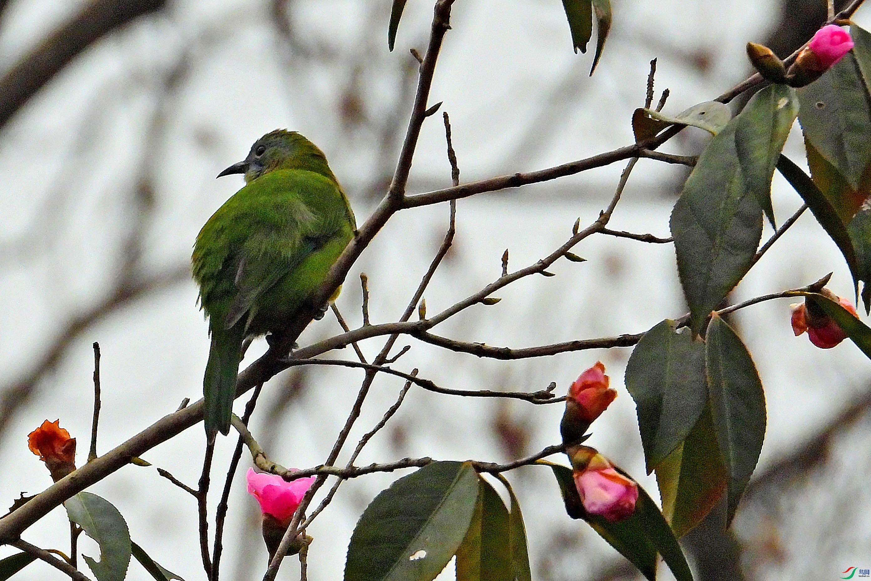 DSCN1865.JPG