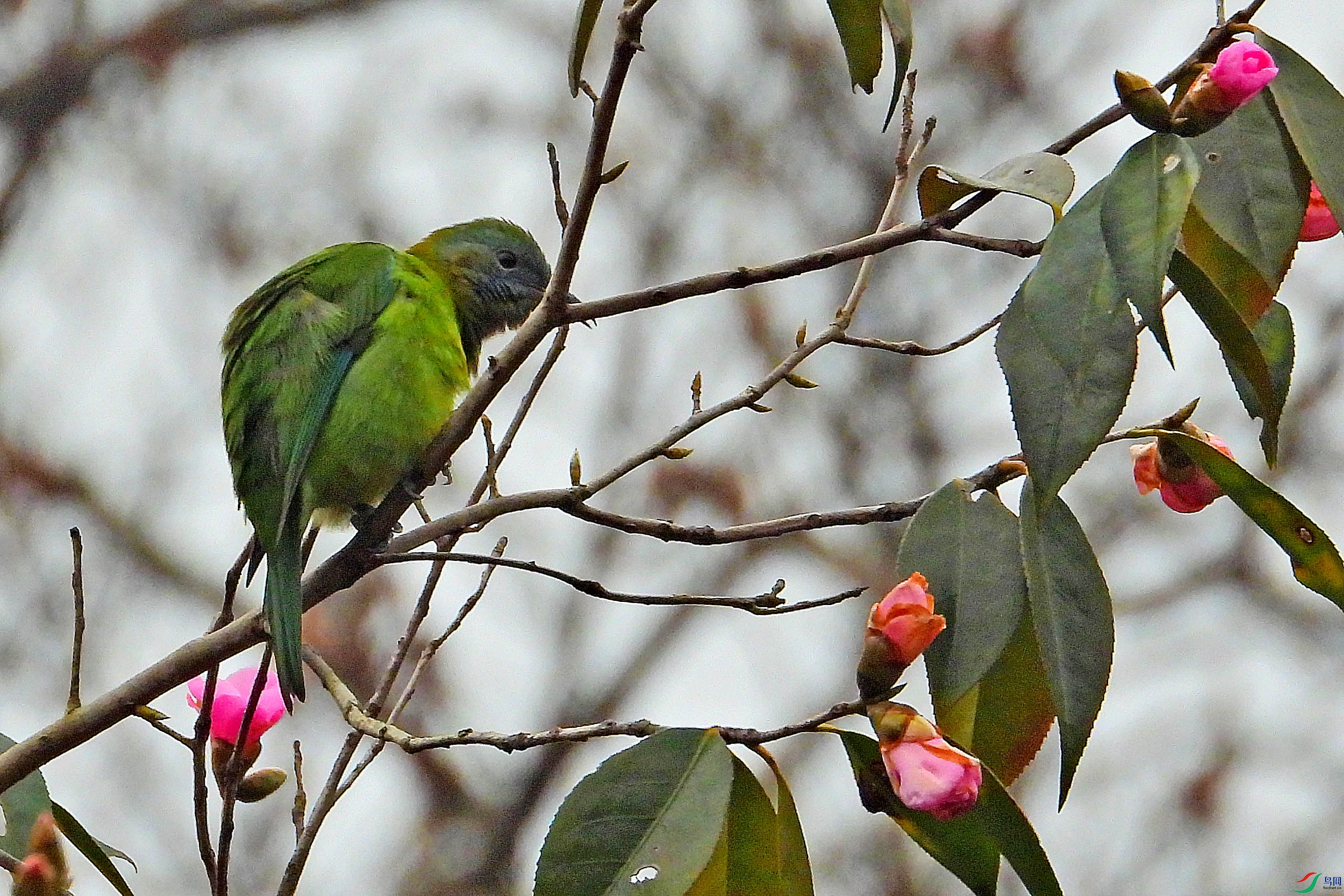 DSCN1859.JPG