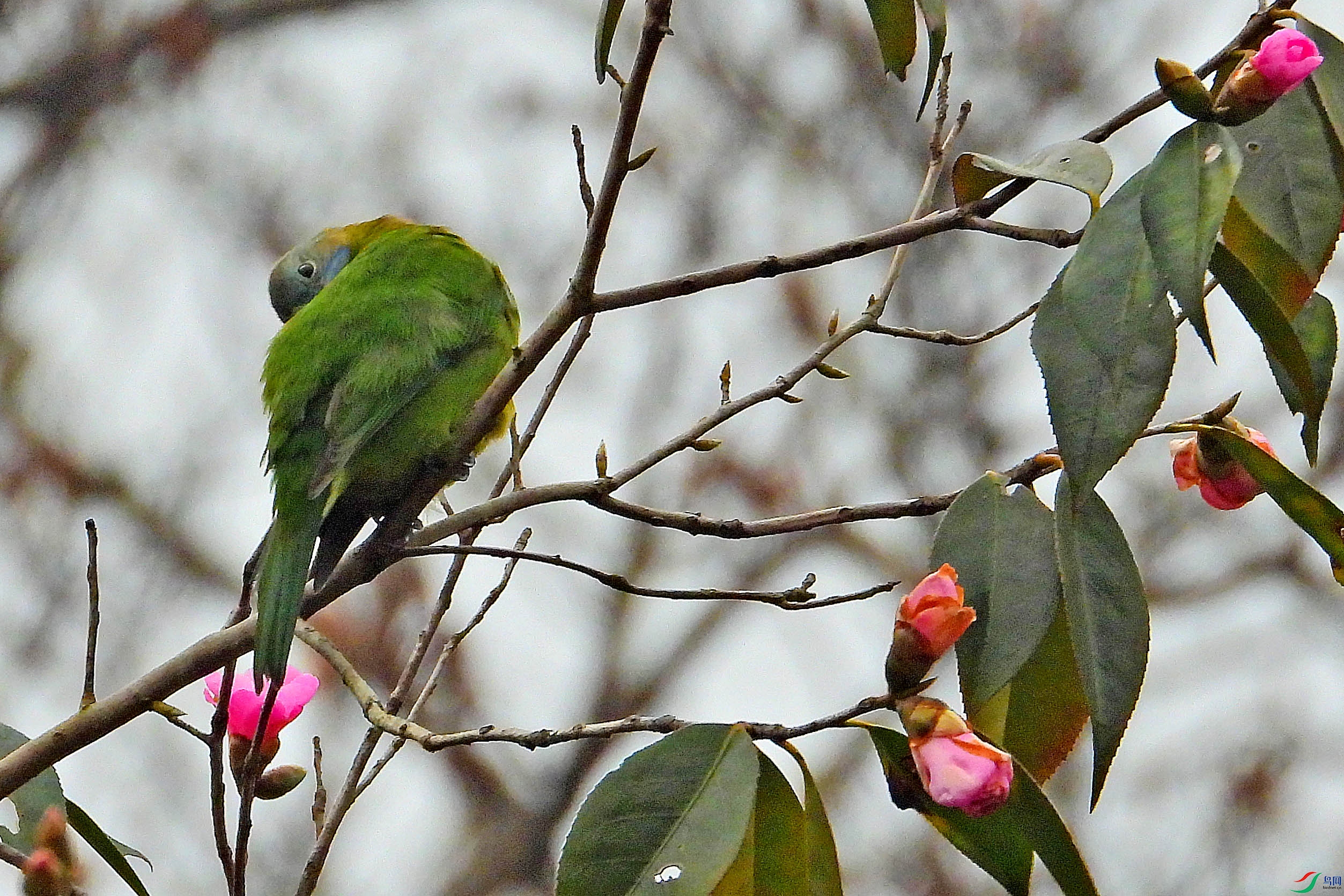 DSCN1863.JPG