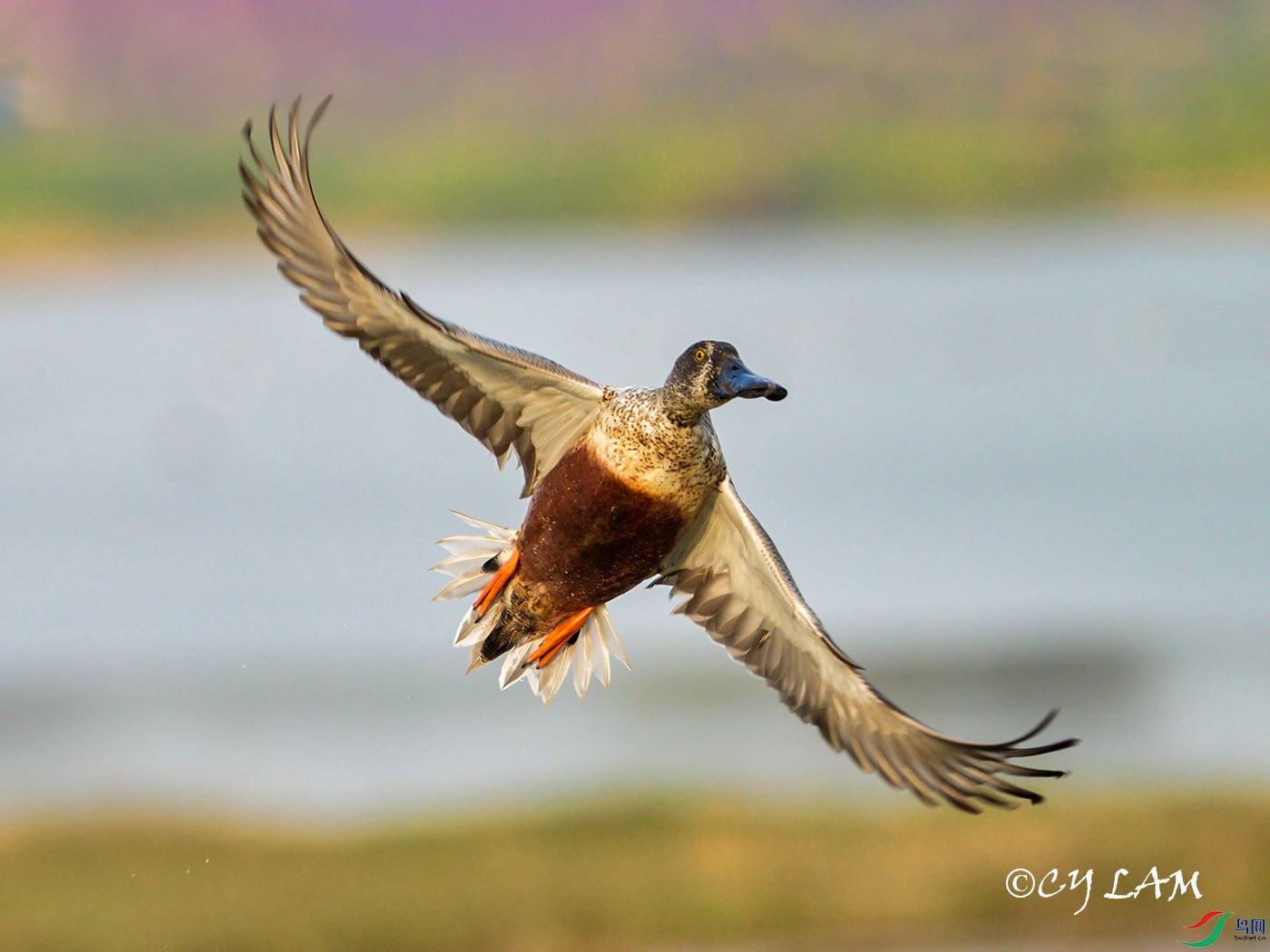 20240101-004 rec.jpg