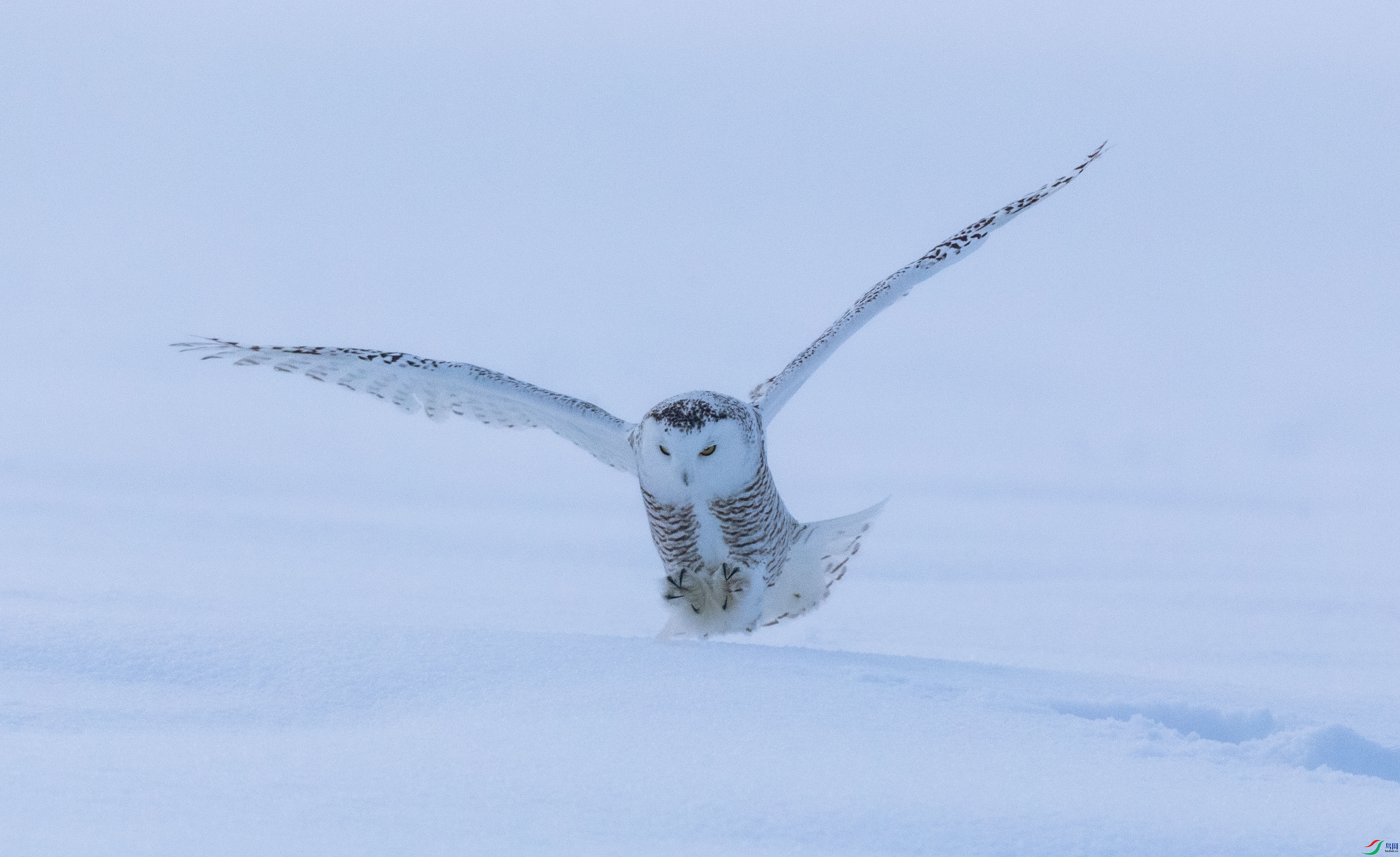 WGX_0338 ����.jpg