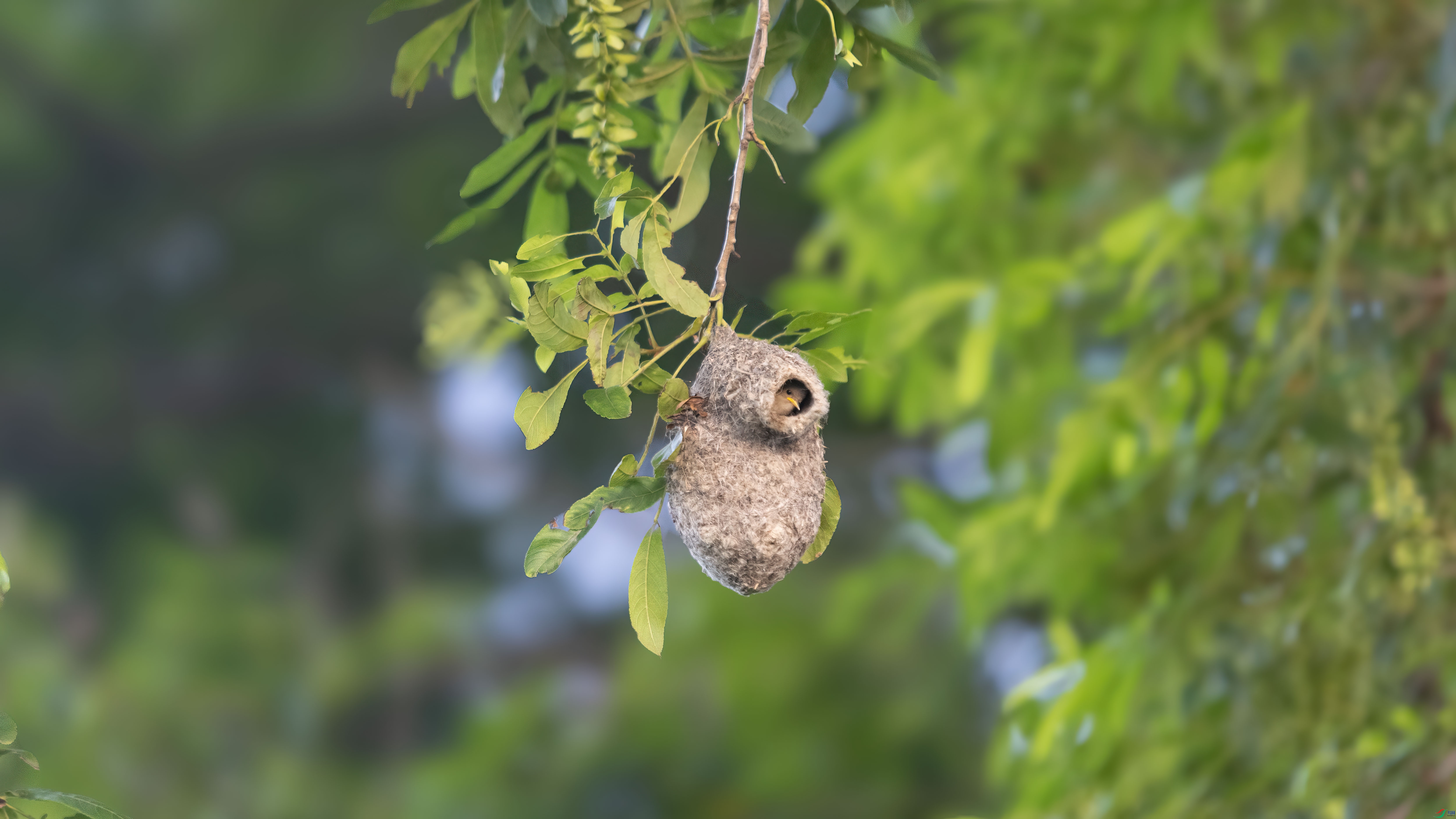 1I3A6361 ����.jpg