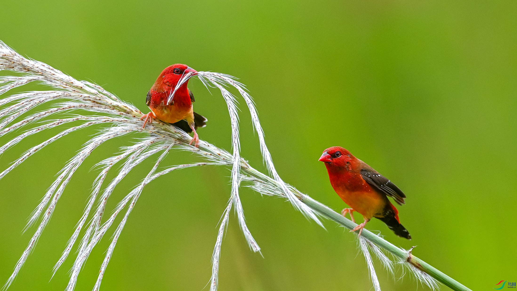 1475 ����.jpg