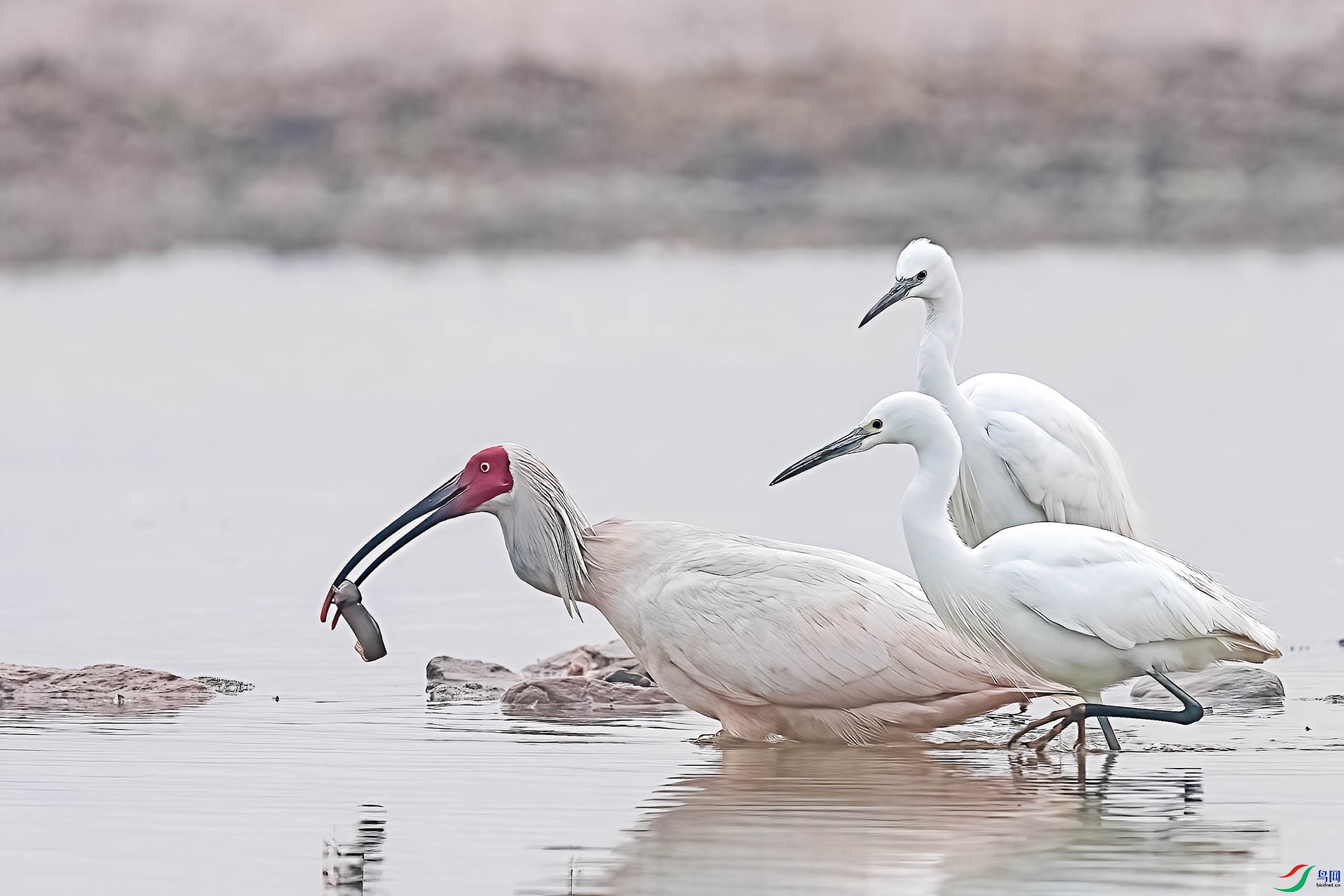 _DSC1448 ����.jpg