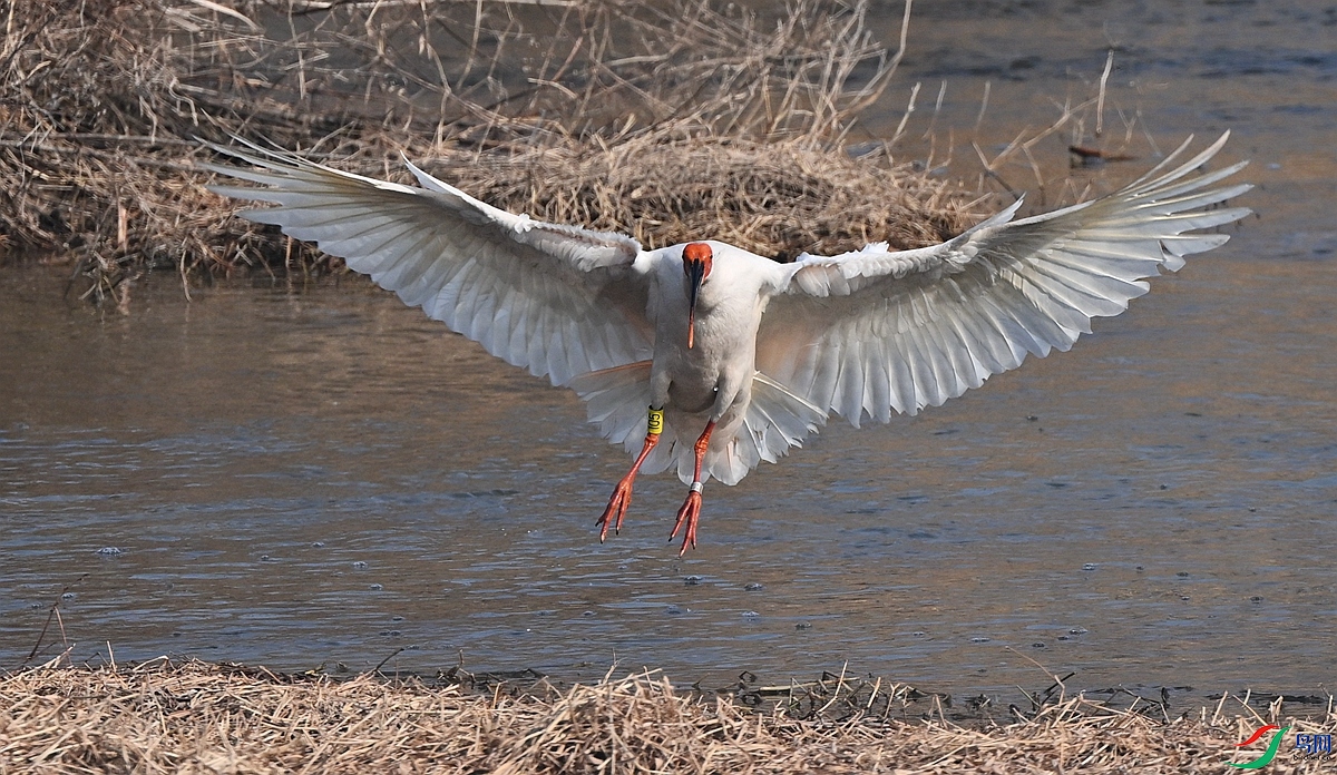 DSC_9360_����.jpg