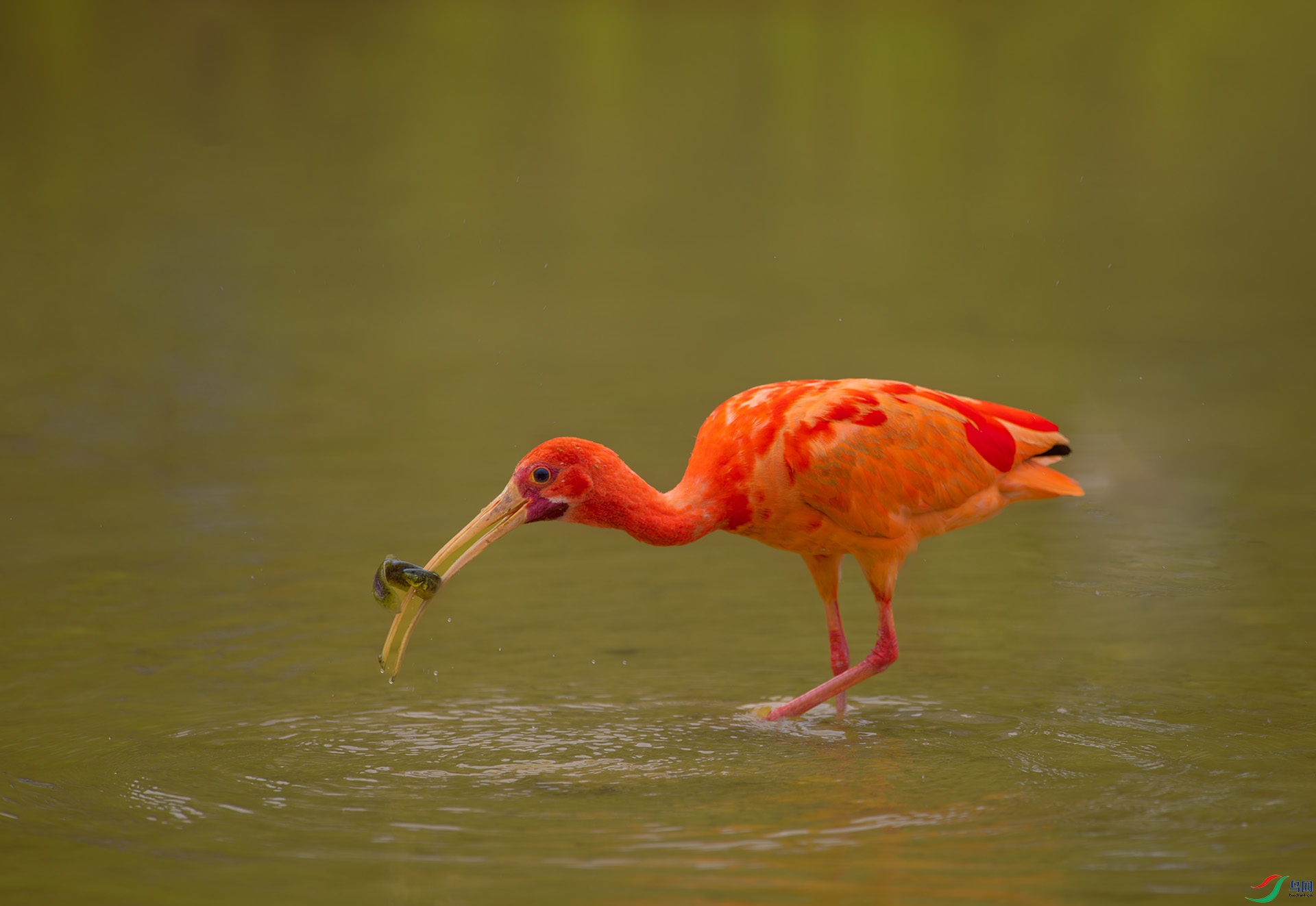DSC_3424-1.jpg