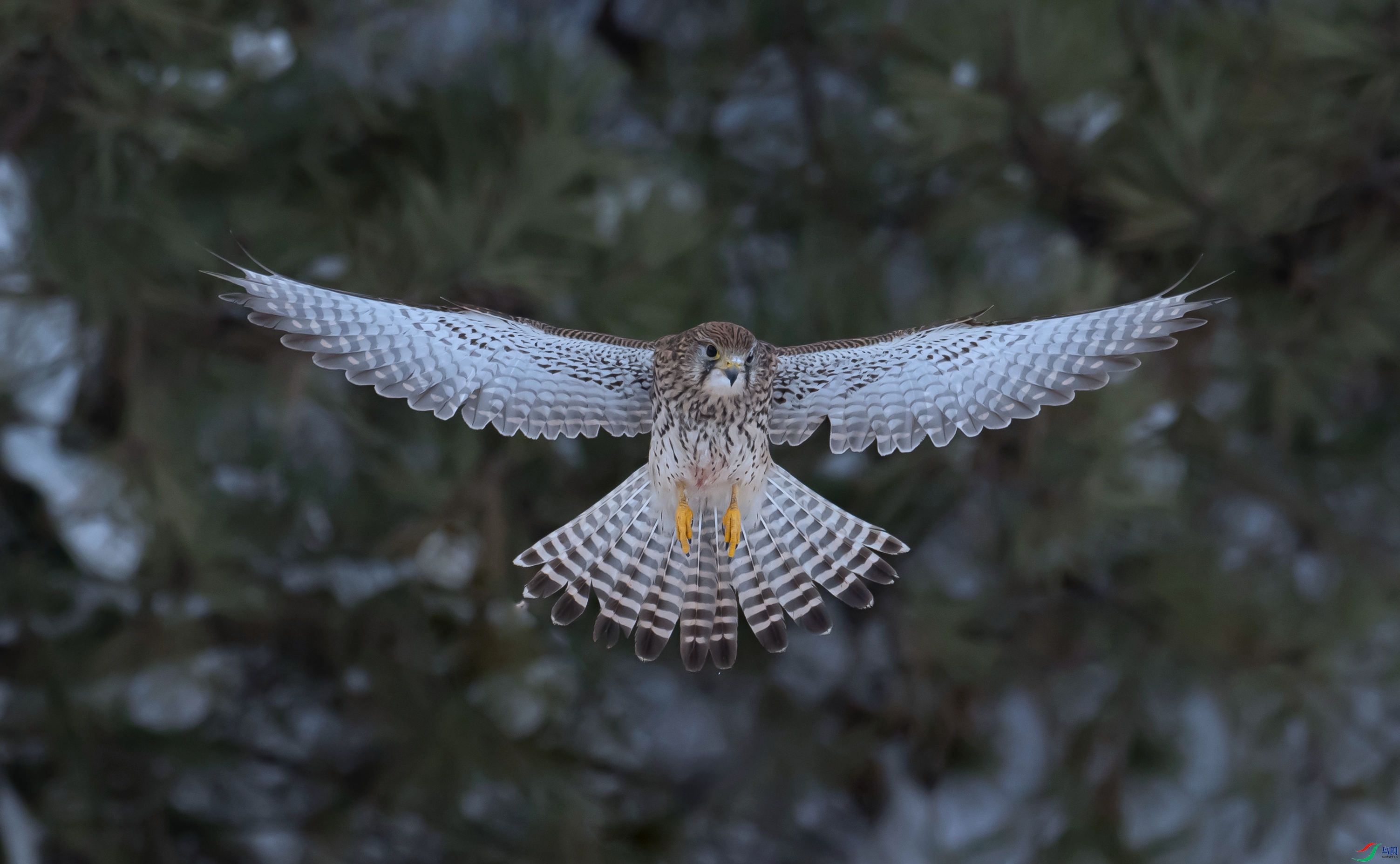 DSC_1670 ����_����.jpg