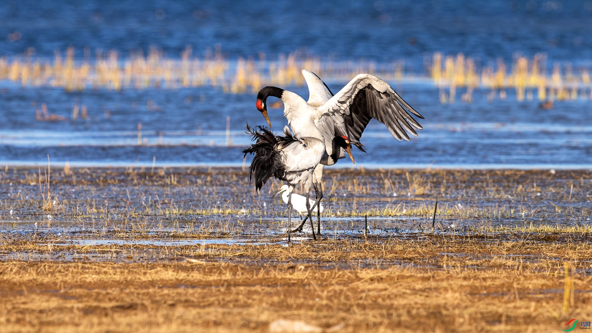 IMGL3284 ����.jpg