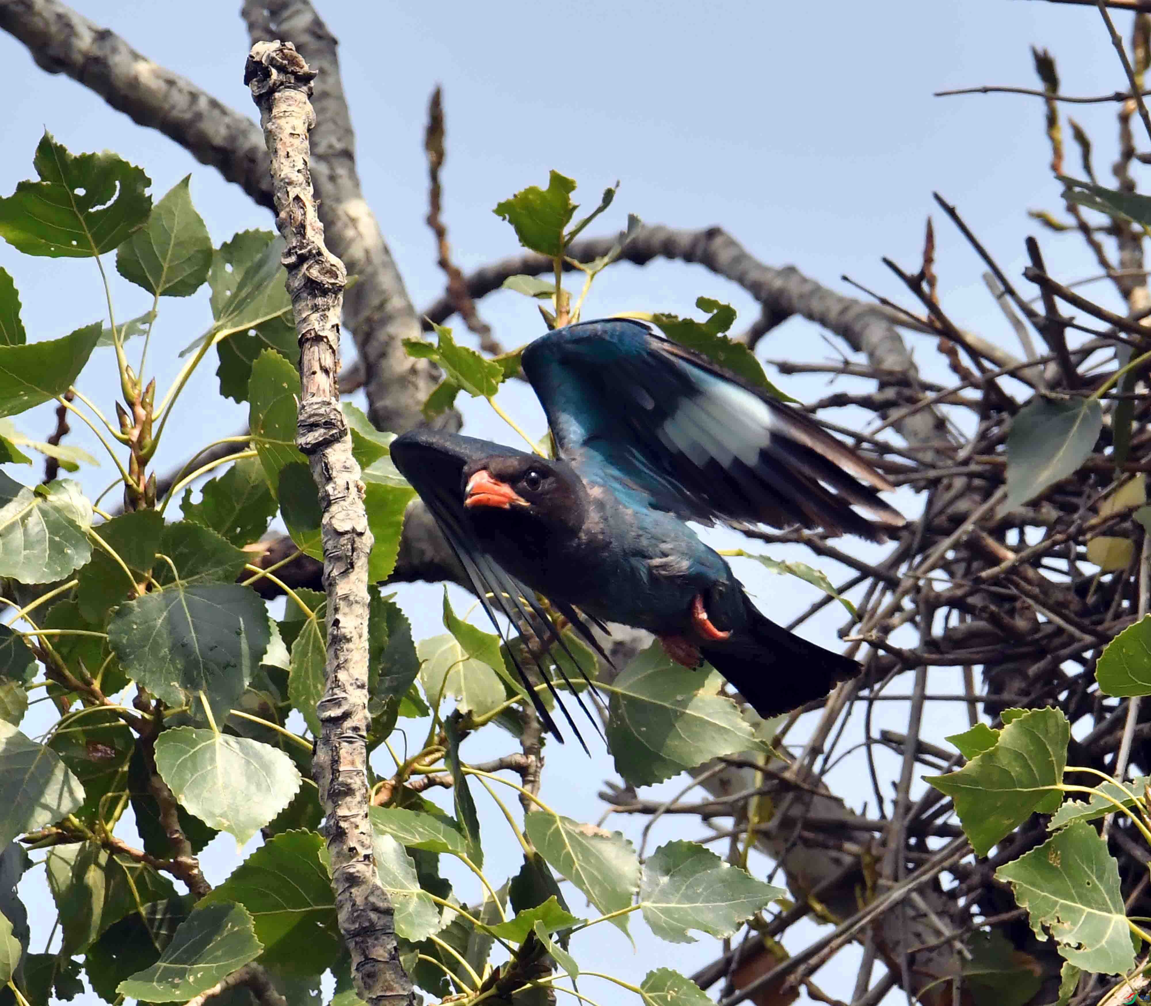 DSC_3038.JPG