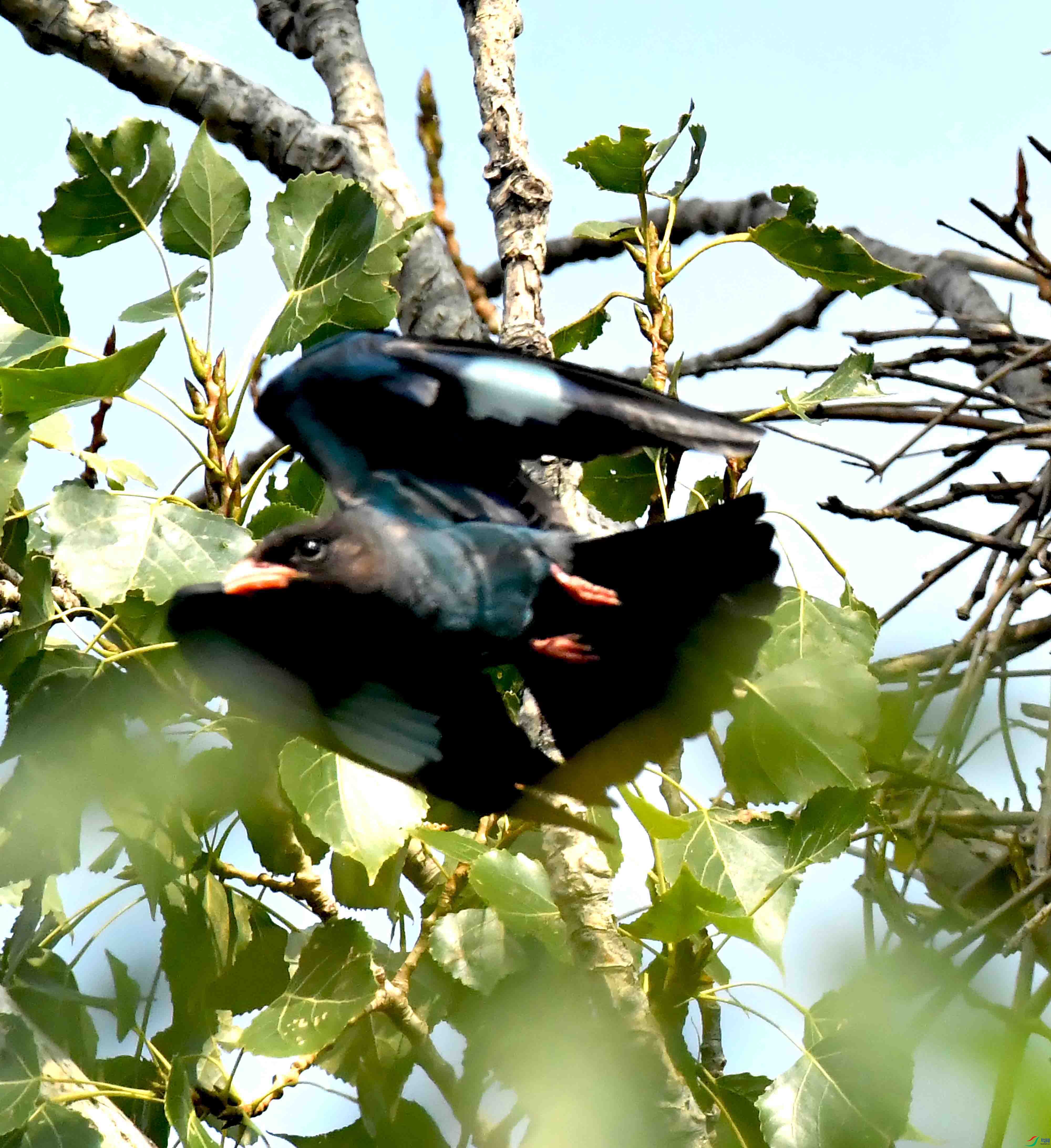 DSC_4025.JPG