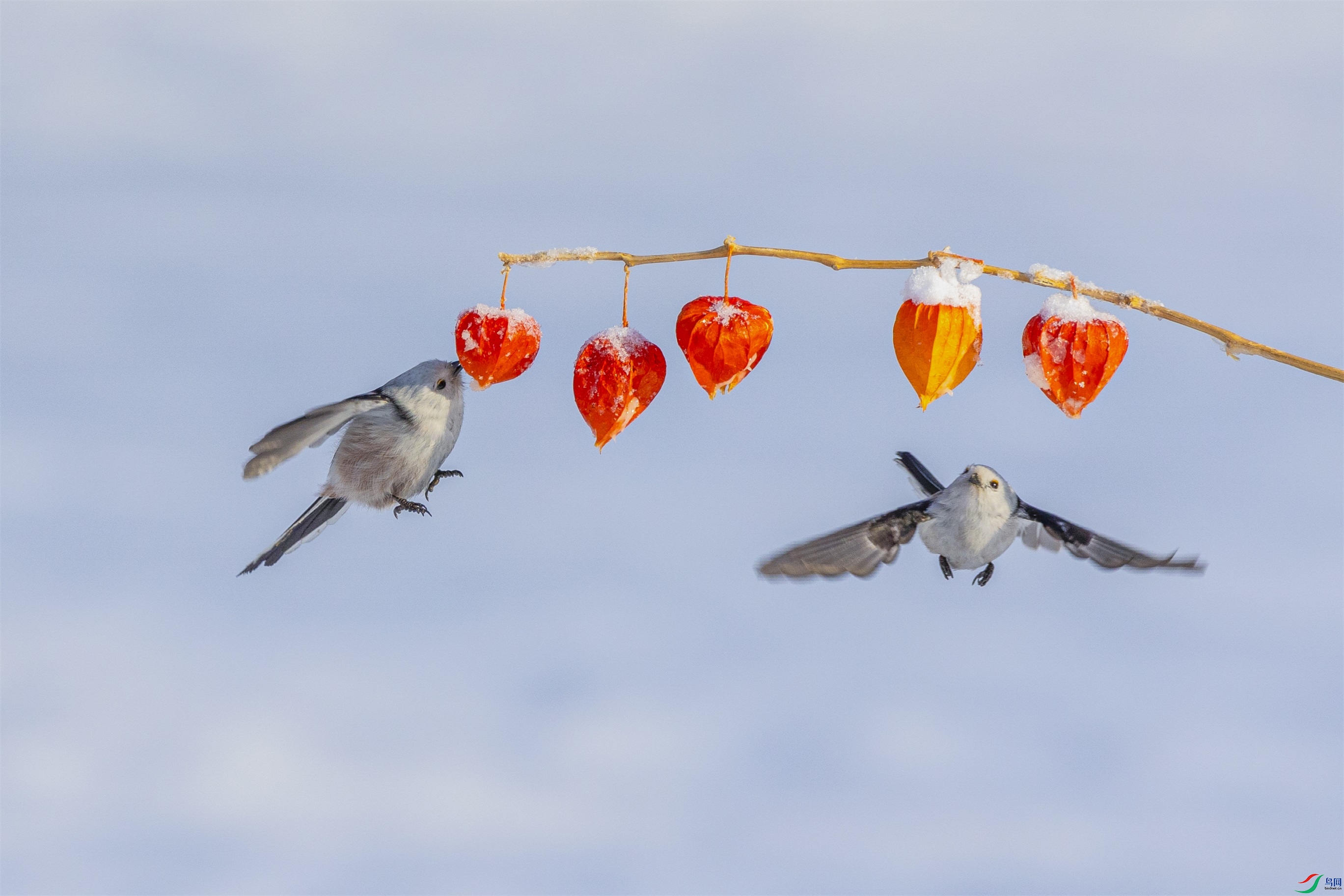 1K3A4558 ����1.jpg