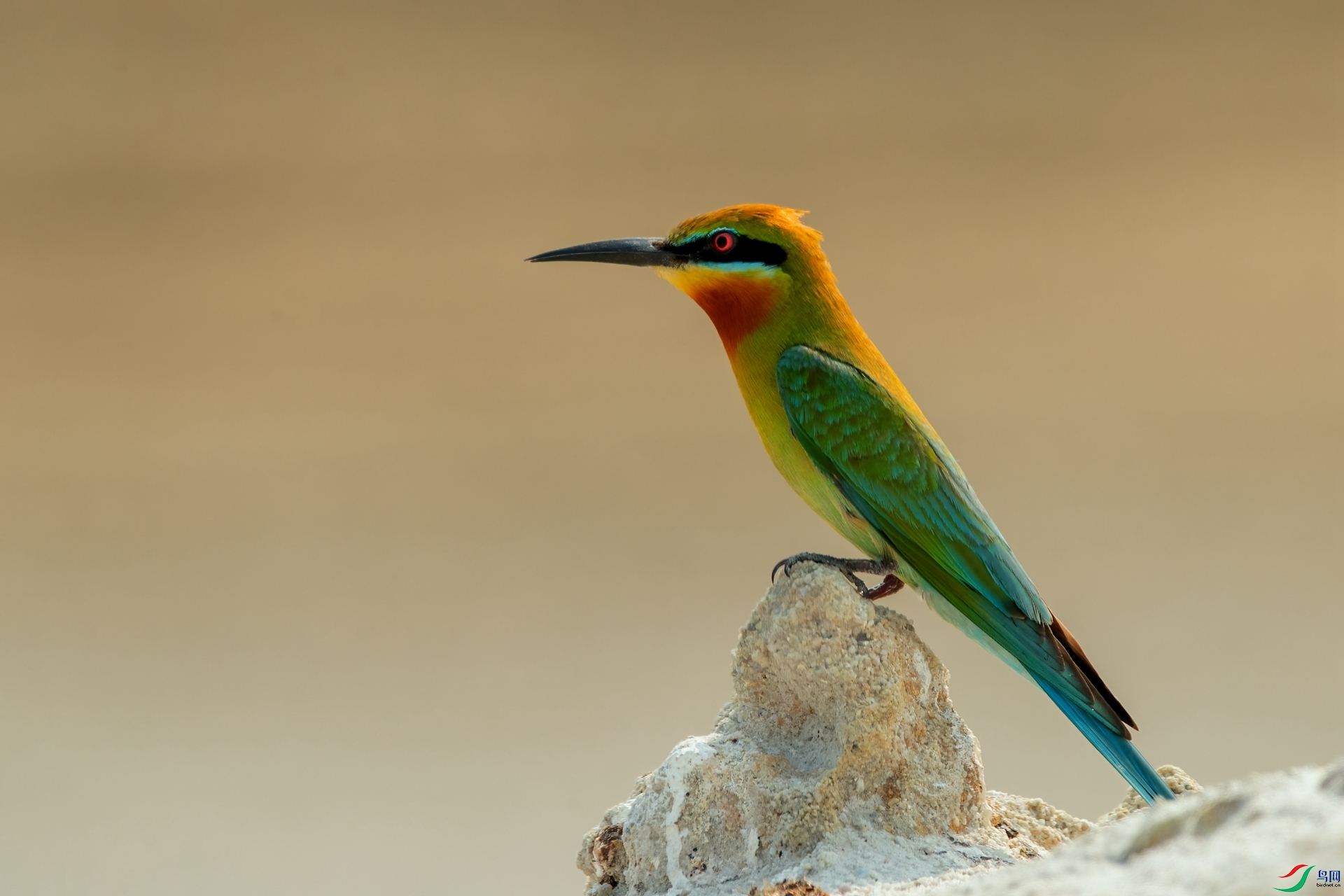 B86I6416 _����.jpg