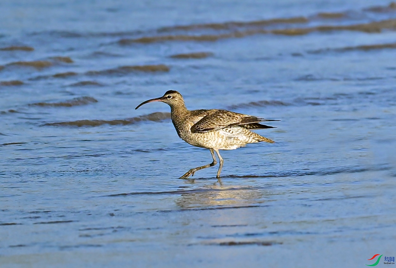 _DSC4552 1_��ͼ��.jpg