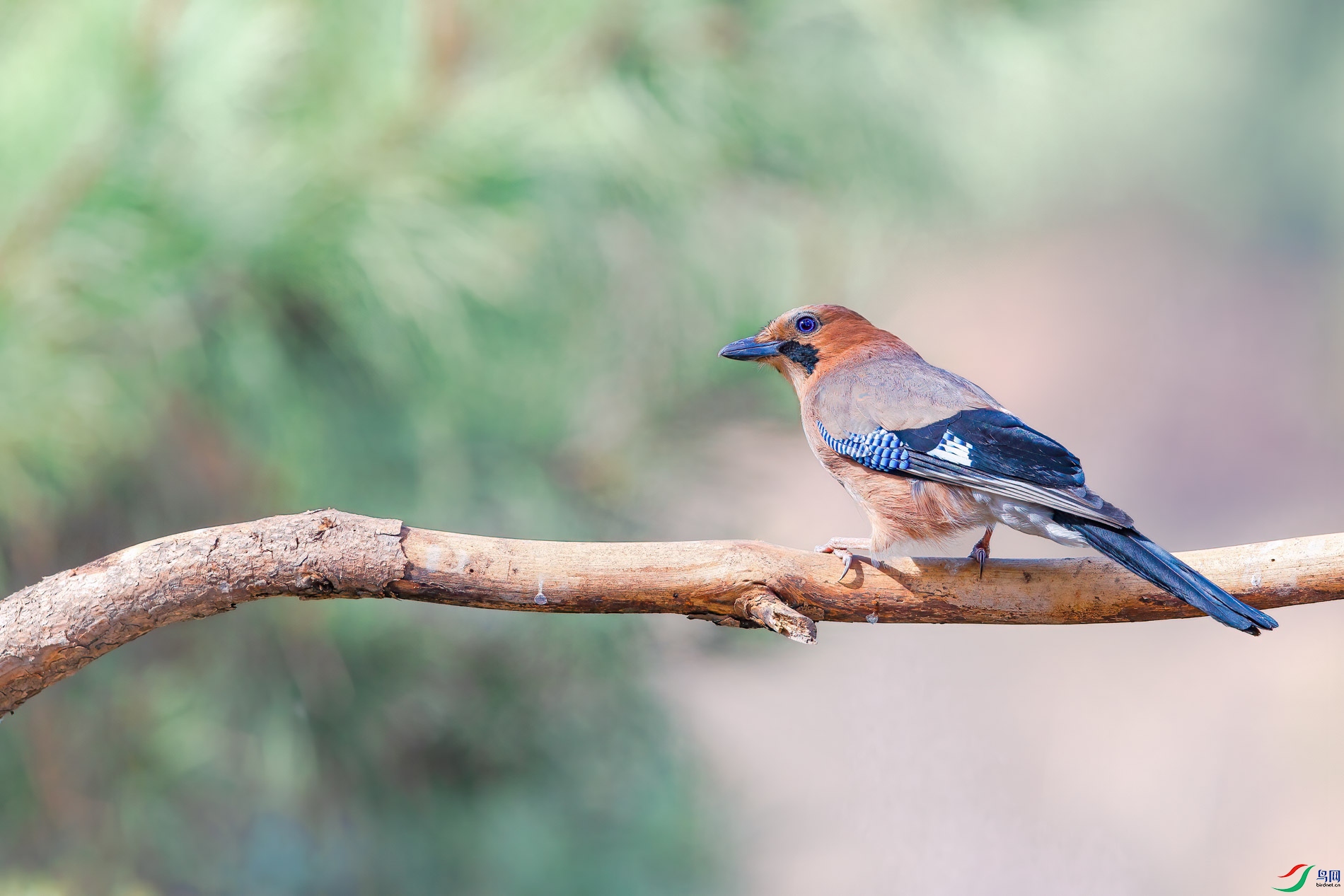 a_9999_3050-1.jpg