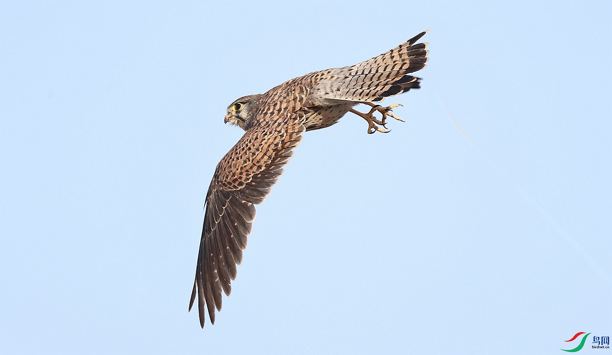 1P3A1912 - ����_����_����.jpg