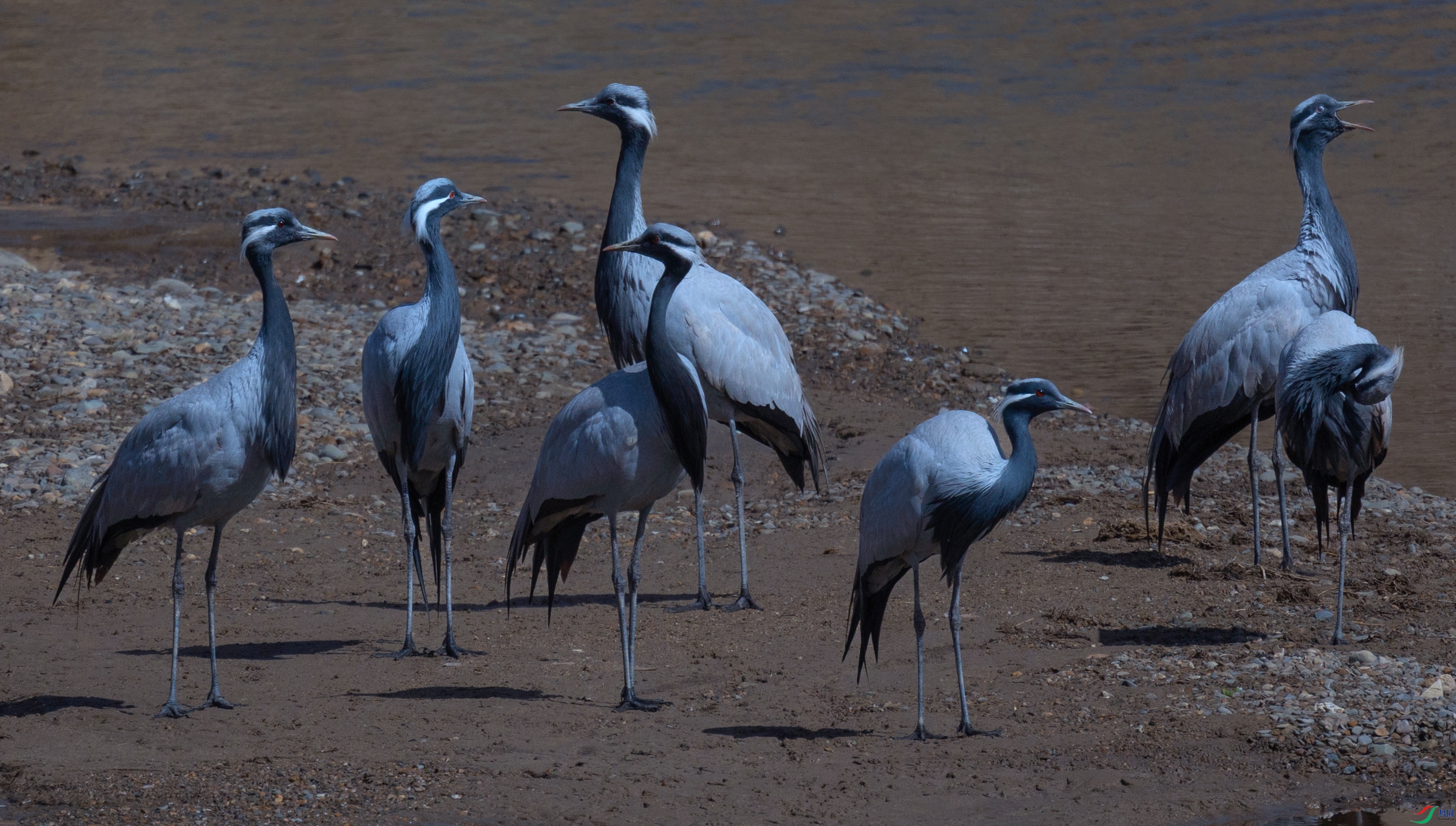 381A7258 - ����.jpg