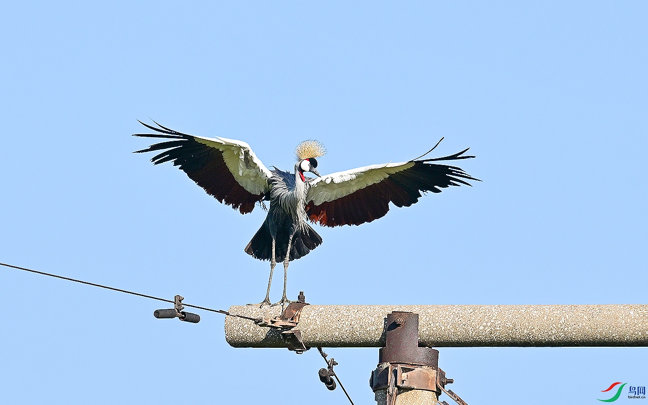 DSC_1003.jpg