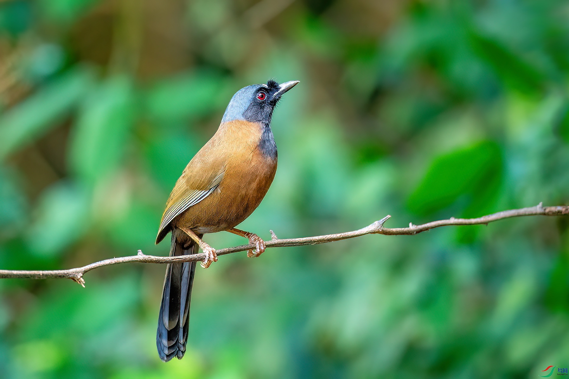 DSC_3319.jpg