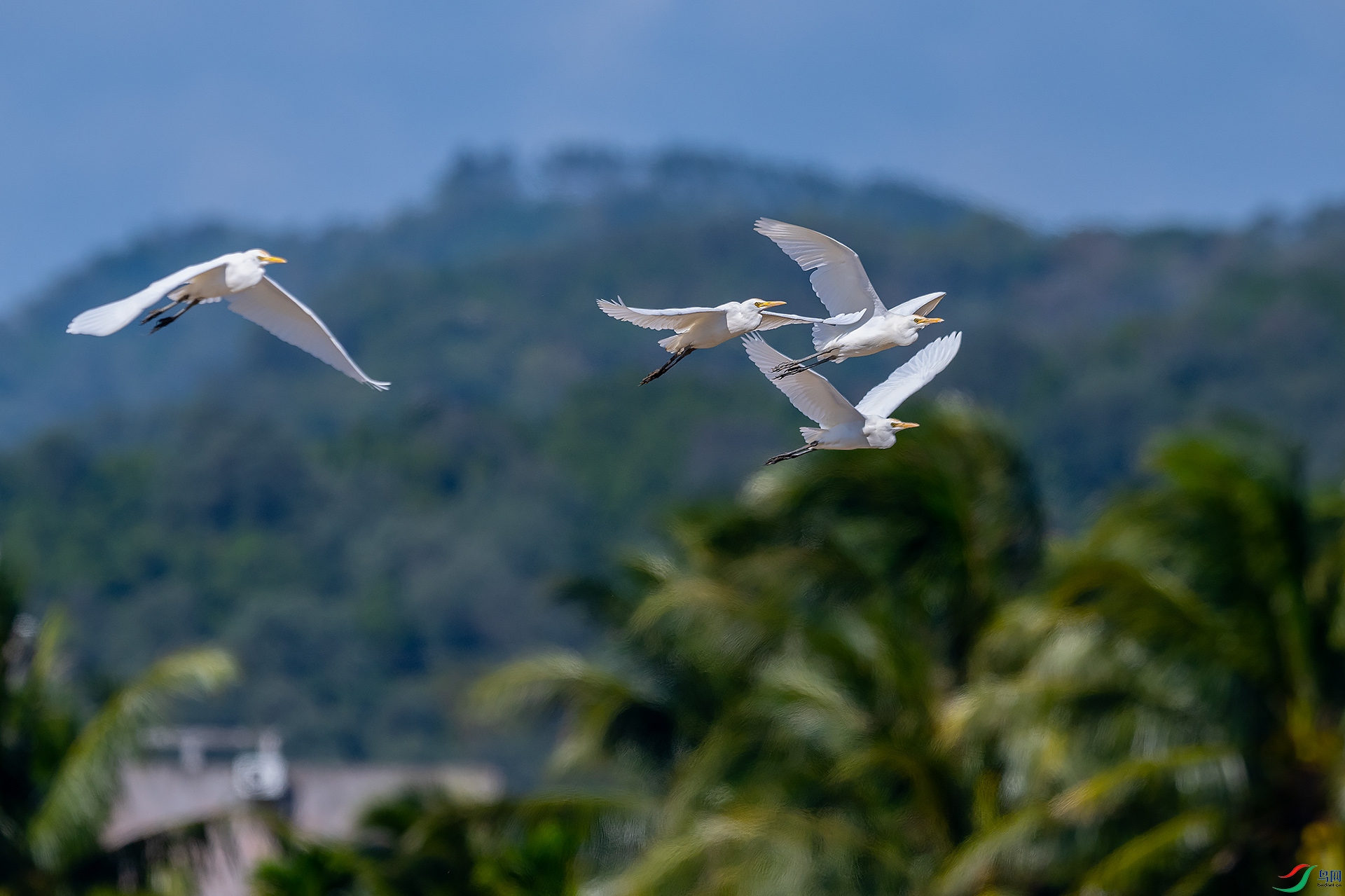 DSC_3954.jpg