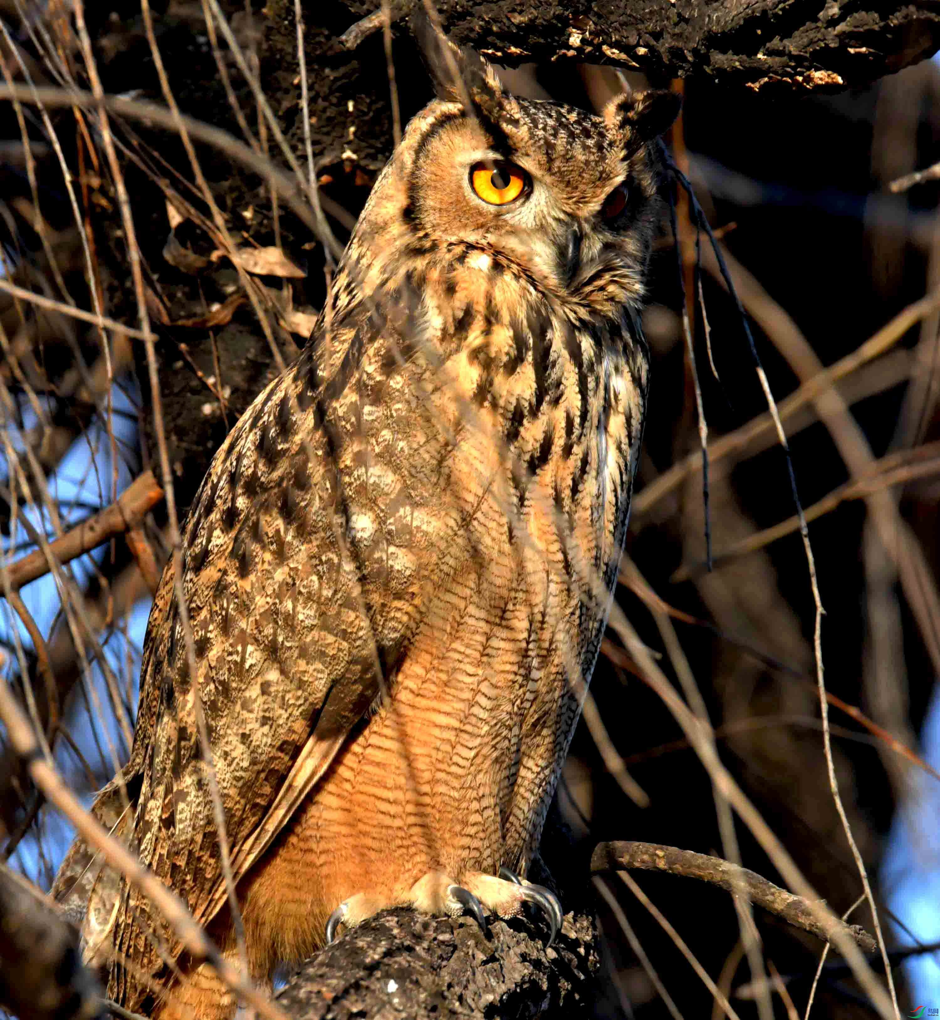 DSC_6618.JPG
