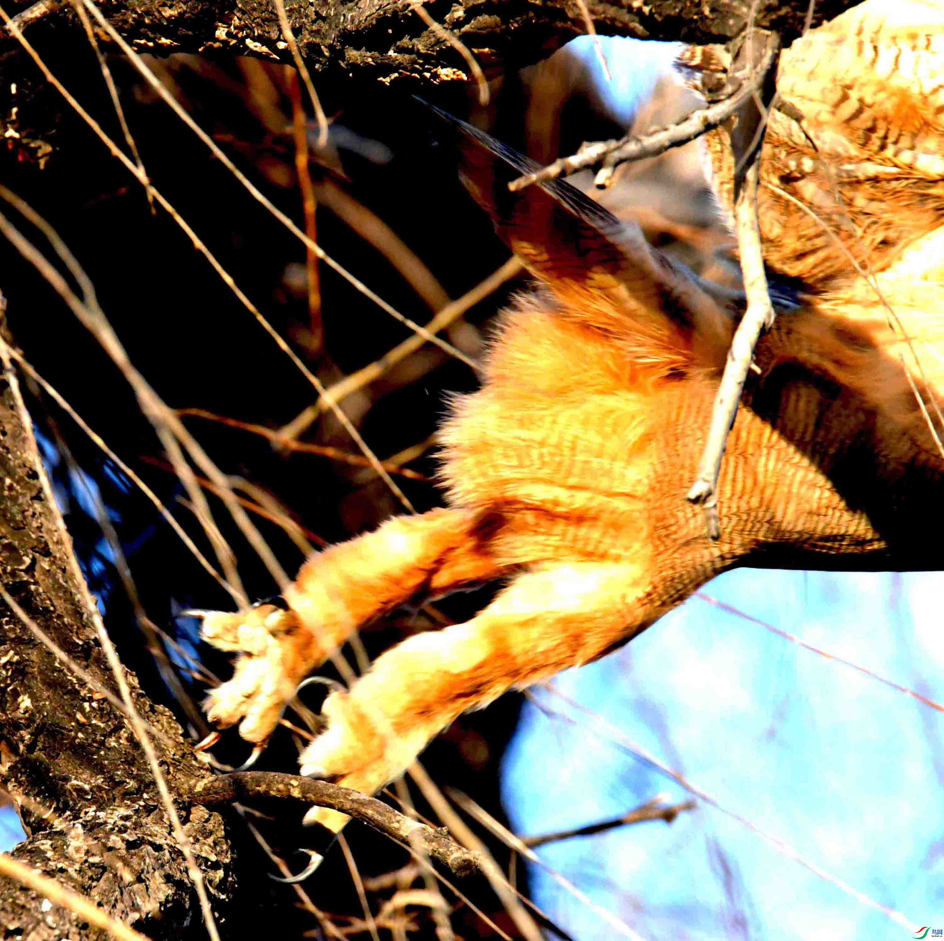 DSC_6803.JPG