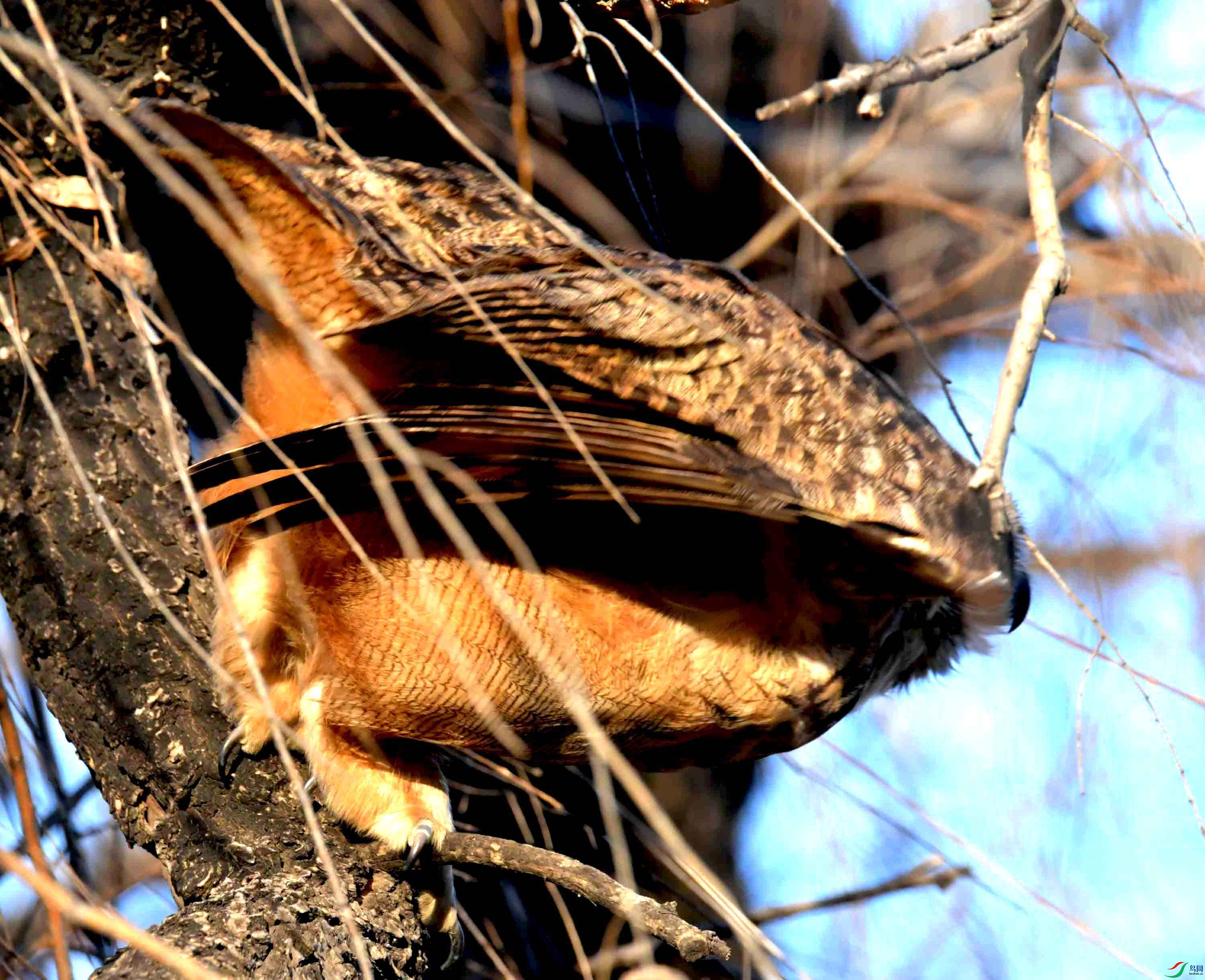 DSC_6802.JPG